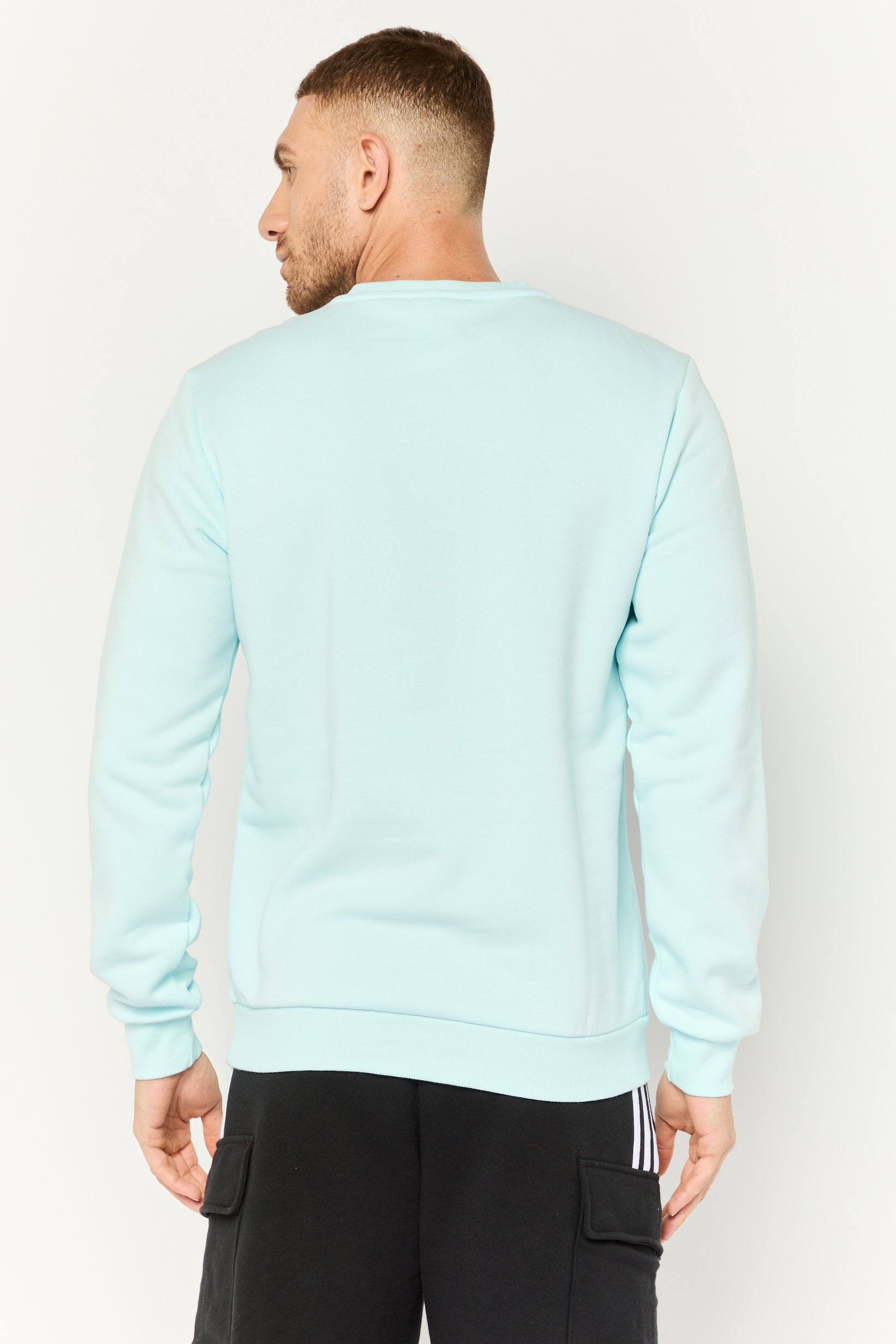 Men Sportswear Fit Long Sleeves Outdoor Sweatshirt, Light Blue