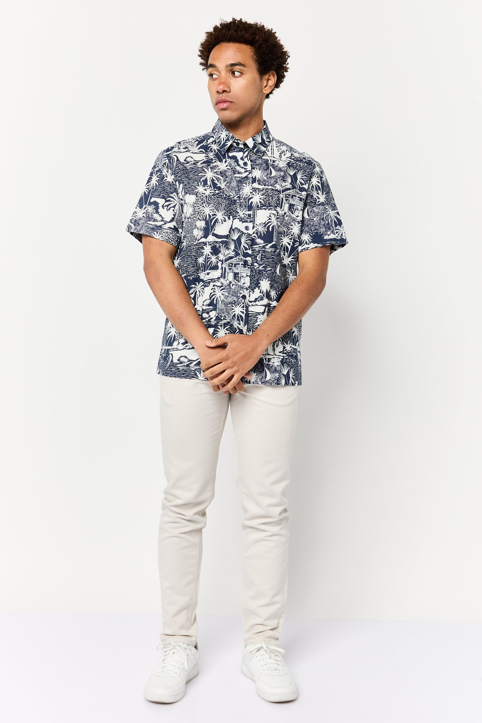 men Regular Fit Short Sleeves Graphic Pint Casual Shirt, Multicolor