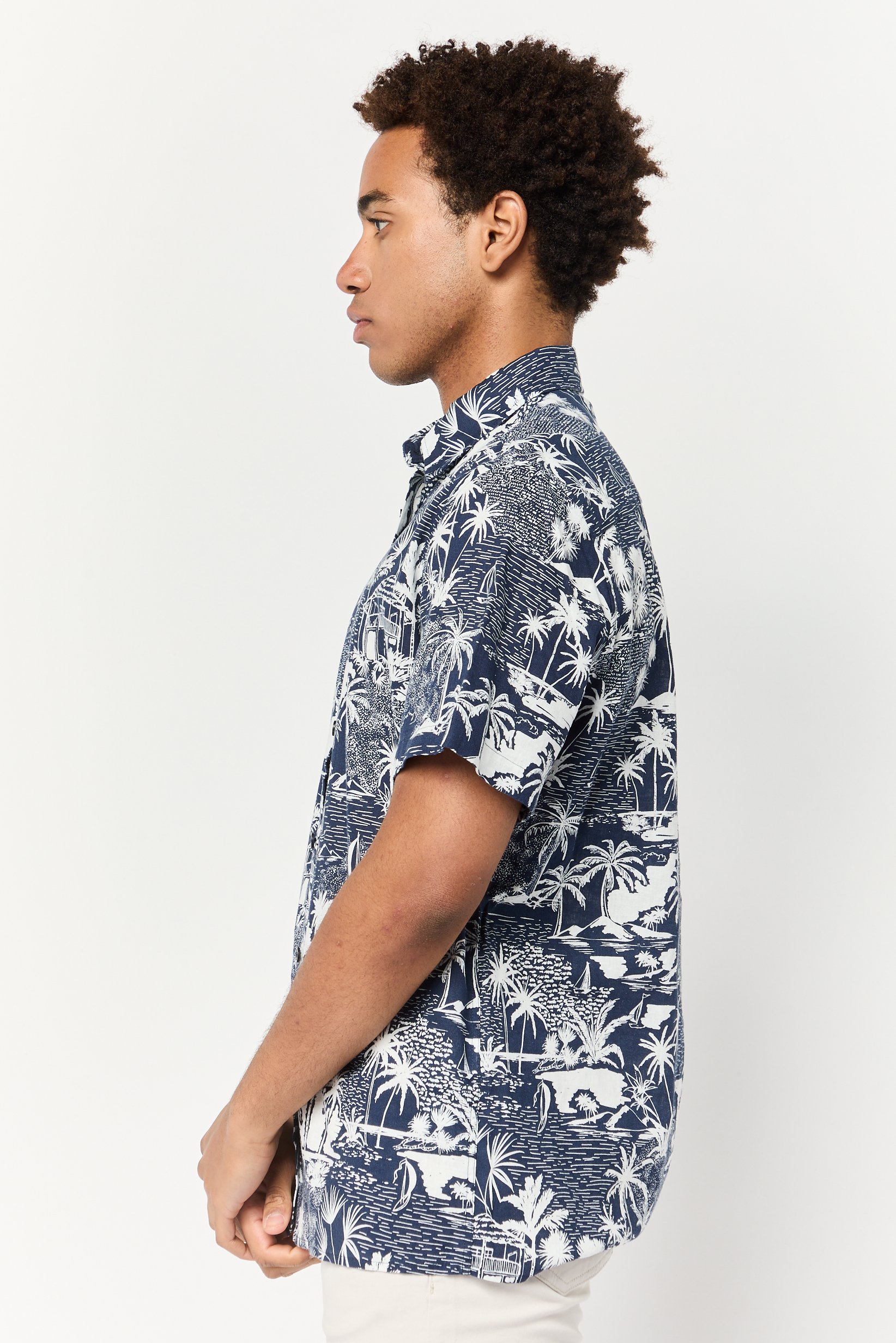 men Regular Fit Short Sleeves Graphic Pint Casual Shirt, Multicolor
