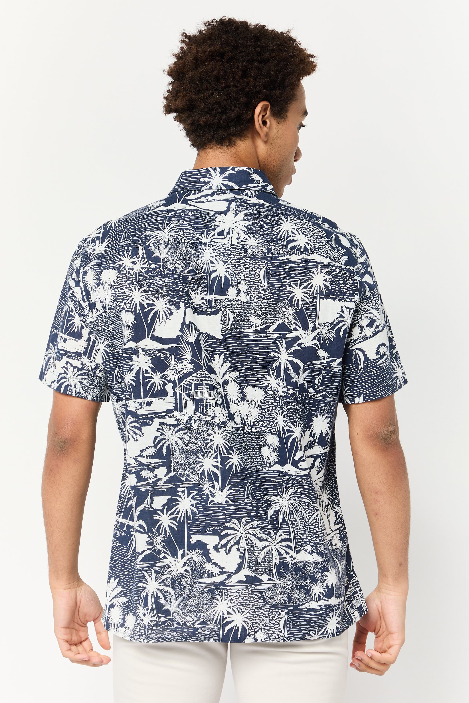 men Regular Fit Short Sleeves Graphic Pint Casual Shirt, Multicolor