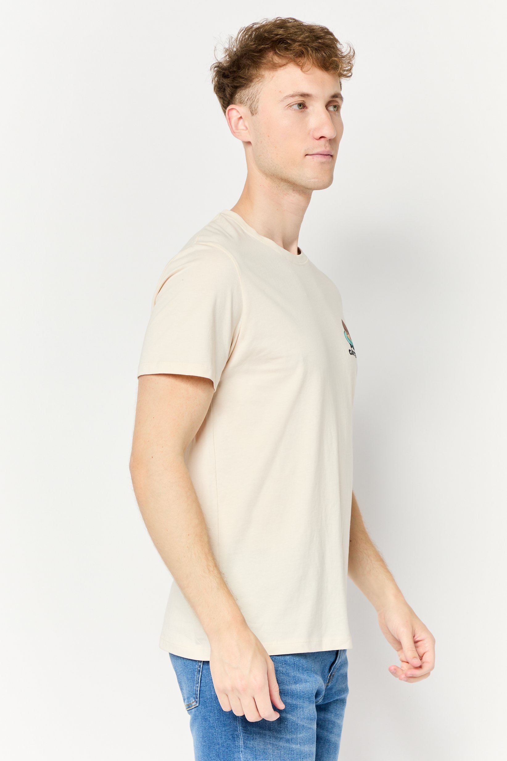 Men Crew Neck Short Sleeve Graphic Print T-shirt, Beige