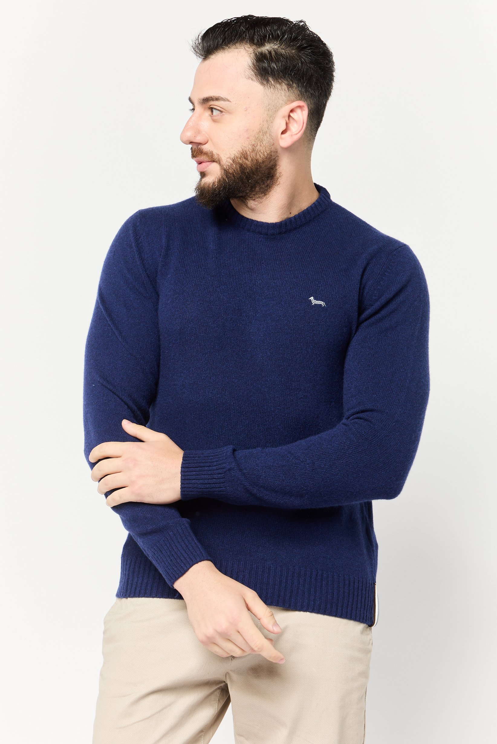 Men Ribbed Neck Embroidered Sweater, Navy