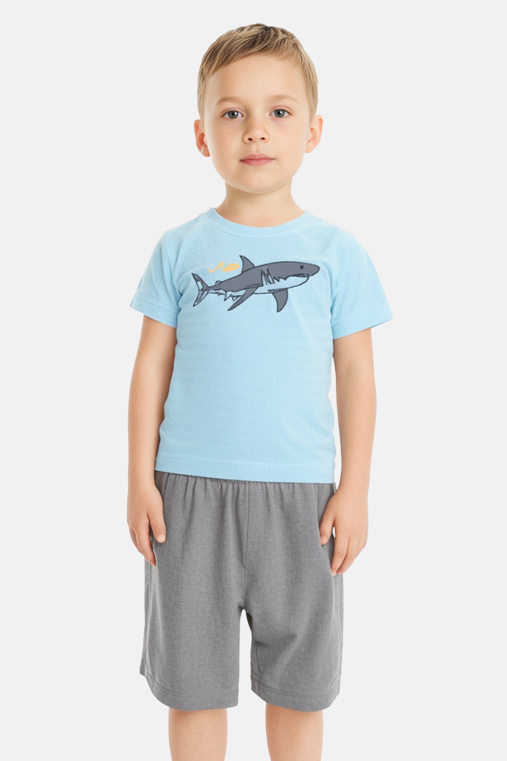 Kids Boy 2 Pieces Graphic Print T-Shirt And Shorts Set, Multicolor