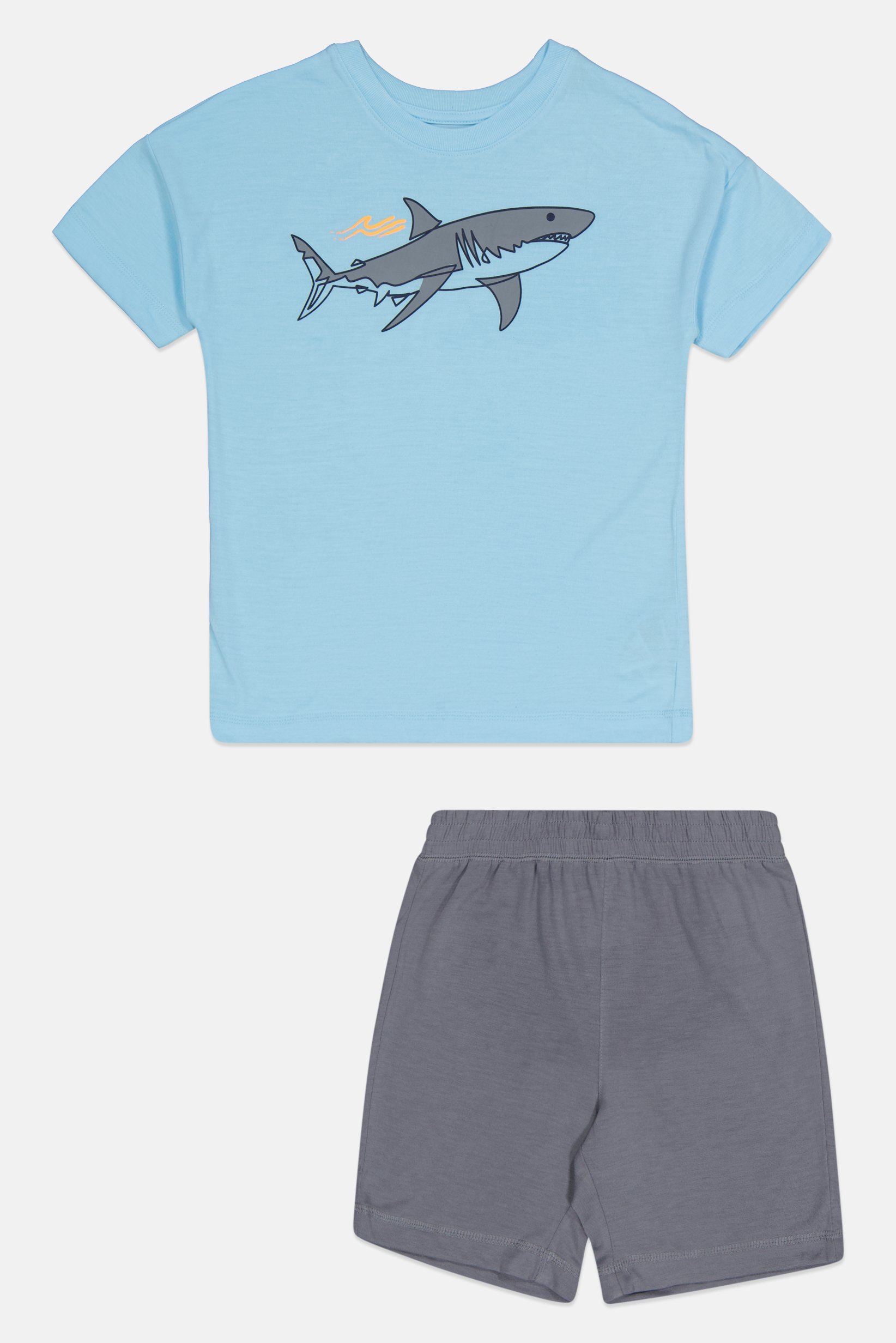 Kids Boy 2 Pieces Graphic Print T-Shirt And Shorts Set, Multicolor
