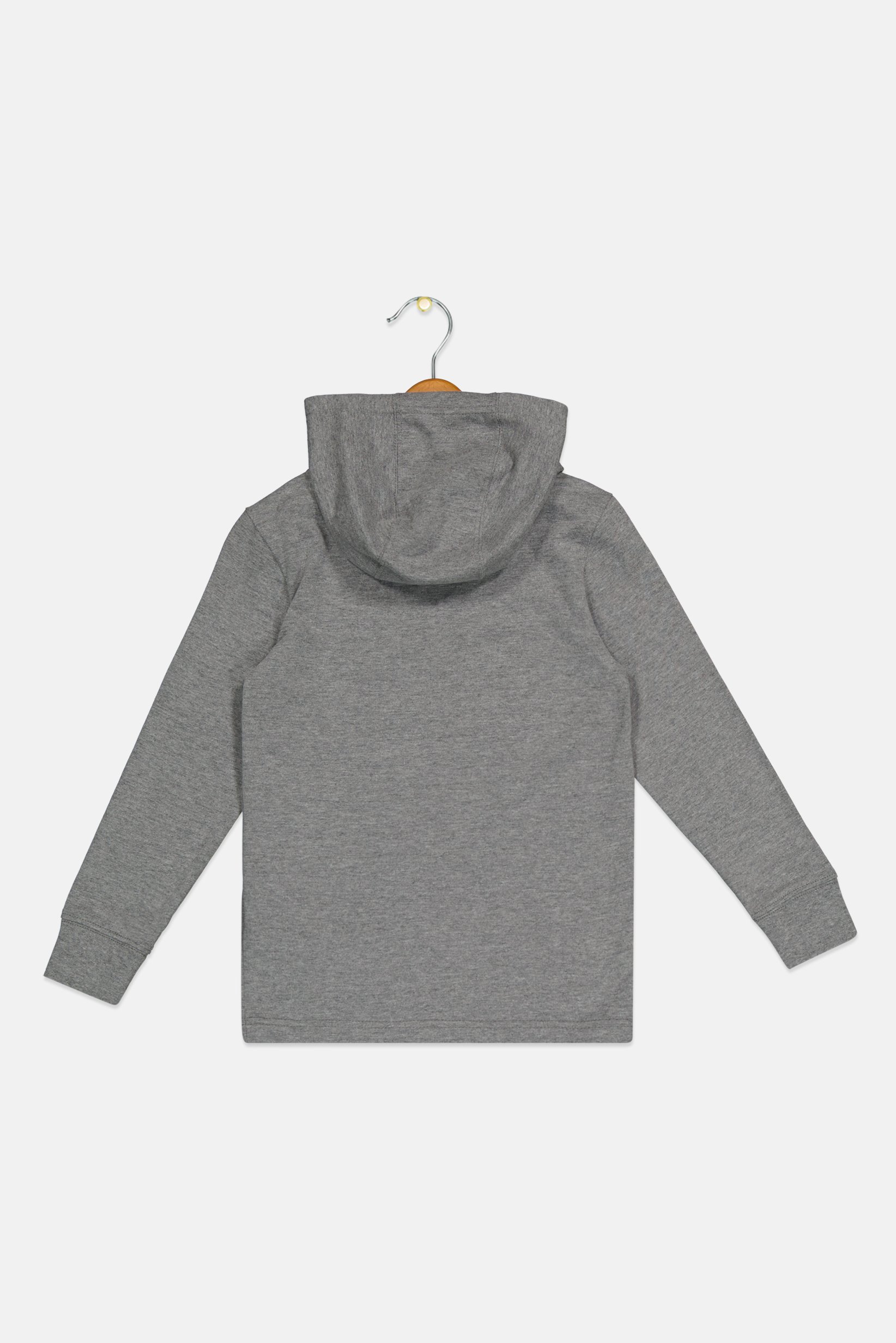 Toddlers Boy Brand Logo Long Sleeve Hoodies, Grey