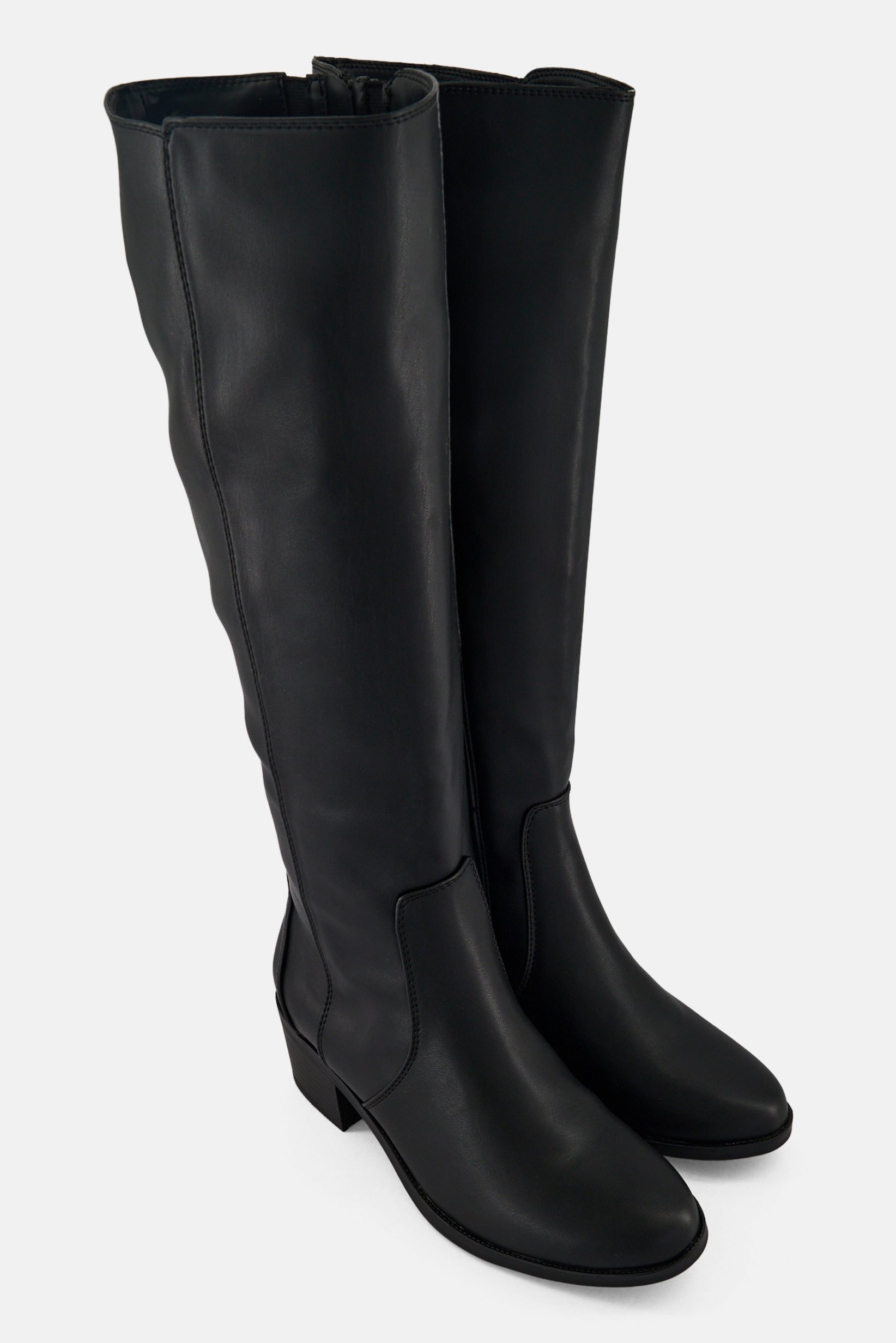 Women Tanerdee Zipper Closure Knee High Boots, Black