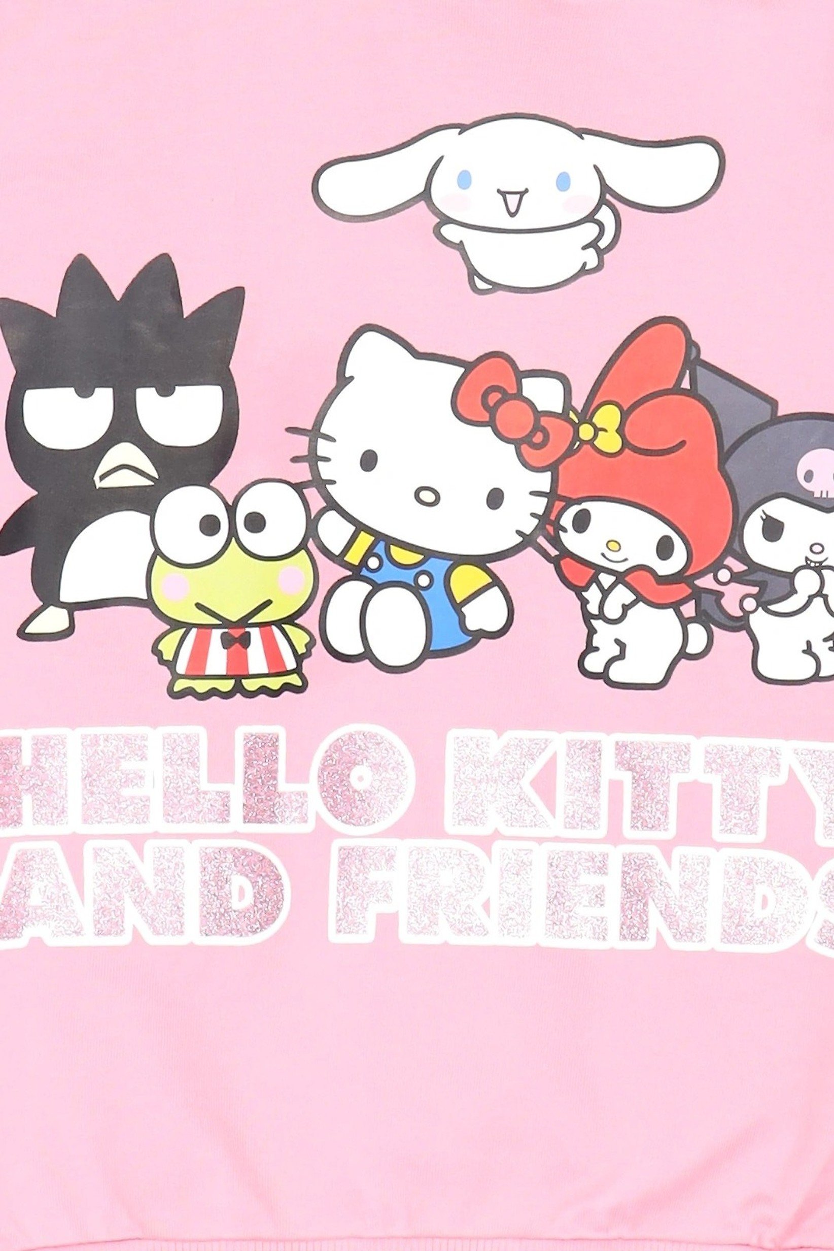 Kids Girl 2 Pieces Hello Kitty And Friend Hoodie And Pants Set, Pink