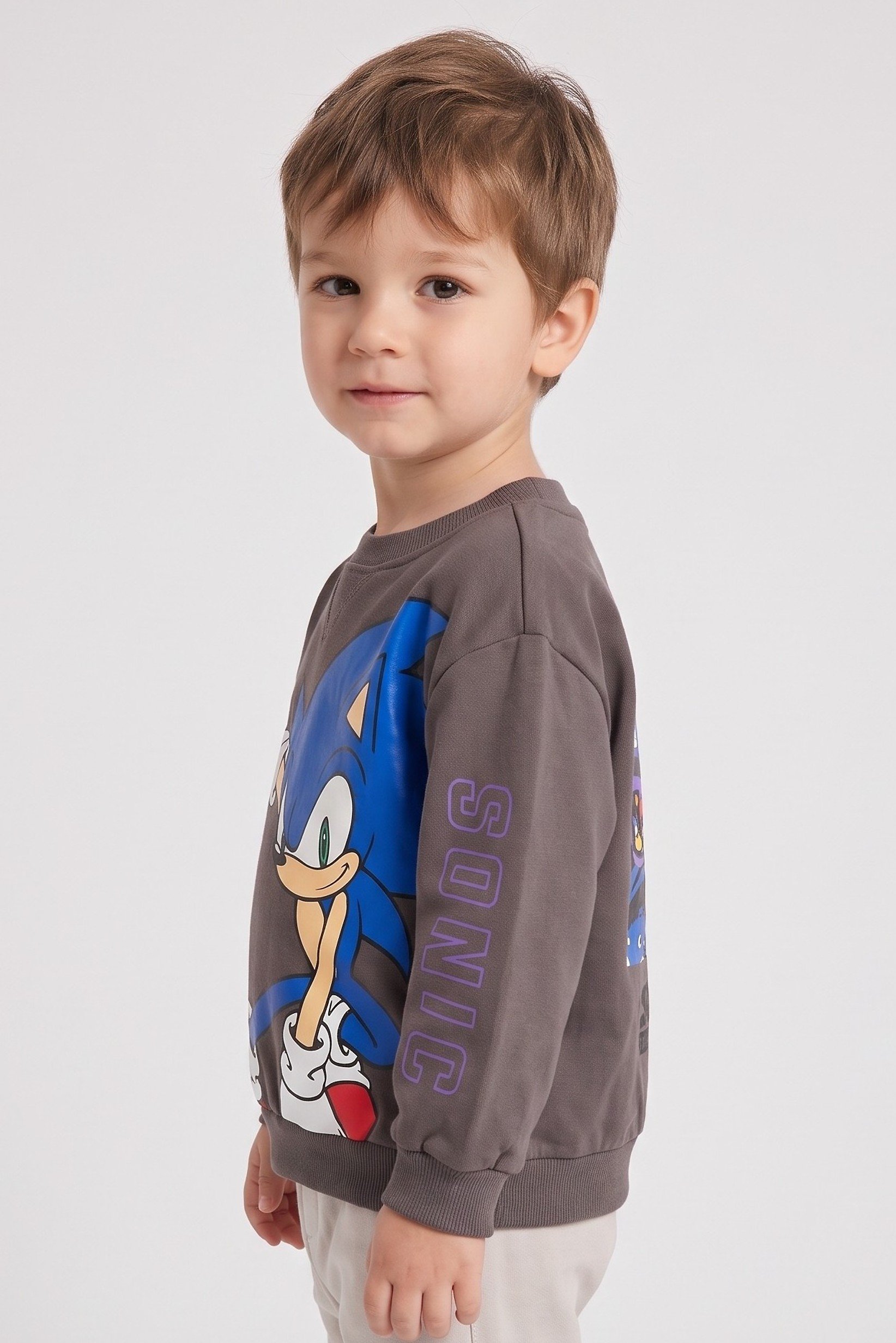 Sonic The Hedgehog x Sega Toddlers Boy Crew Neck Graphic Print Long Sleeve Sweatshirt, Brown