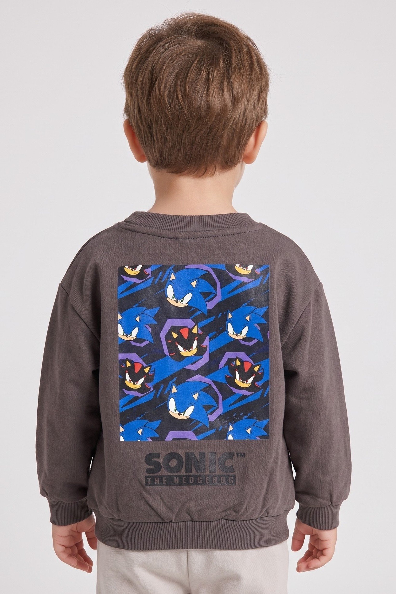 Sonic The Hedgehog x Sega Toddlers Boy Crew Neck Graphic Print Long Sleeve Sweatshirt, Brown