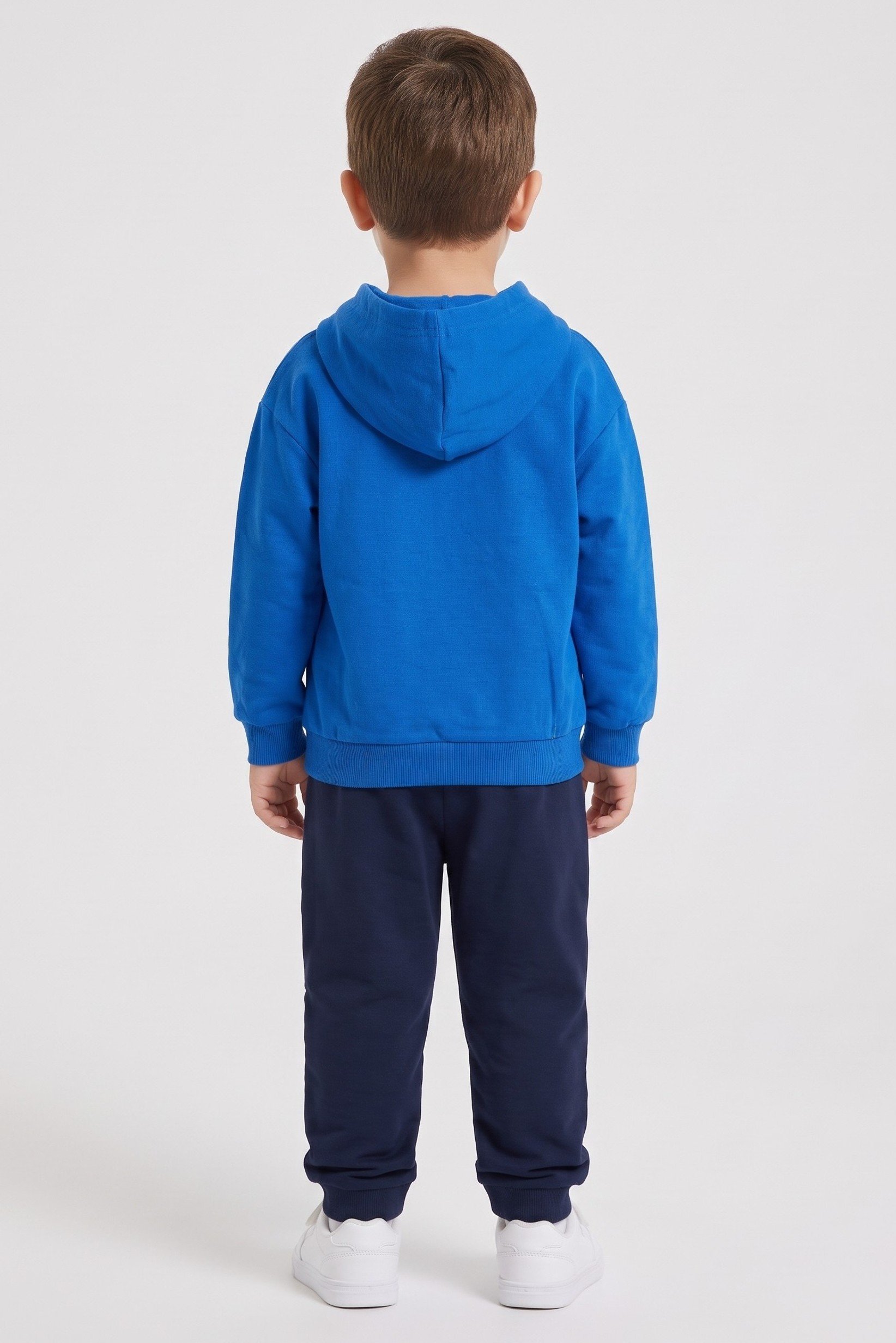 Toddlers Boy 2 Pieces Graphic Print Long Sleeve Hoodie And Jogger Set, Multicolor