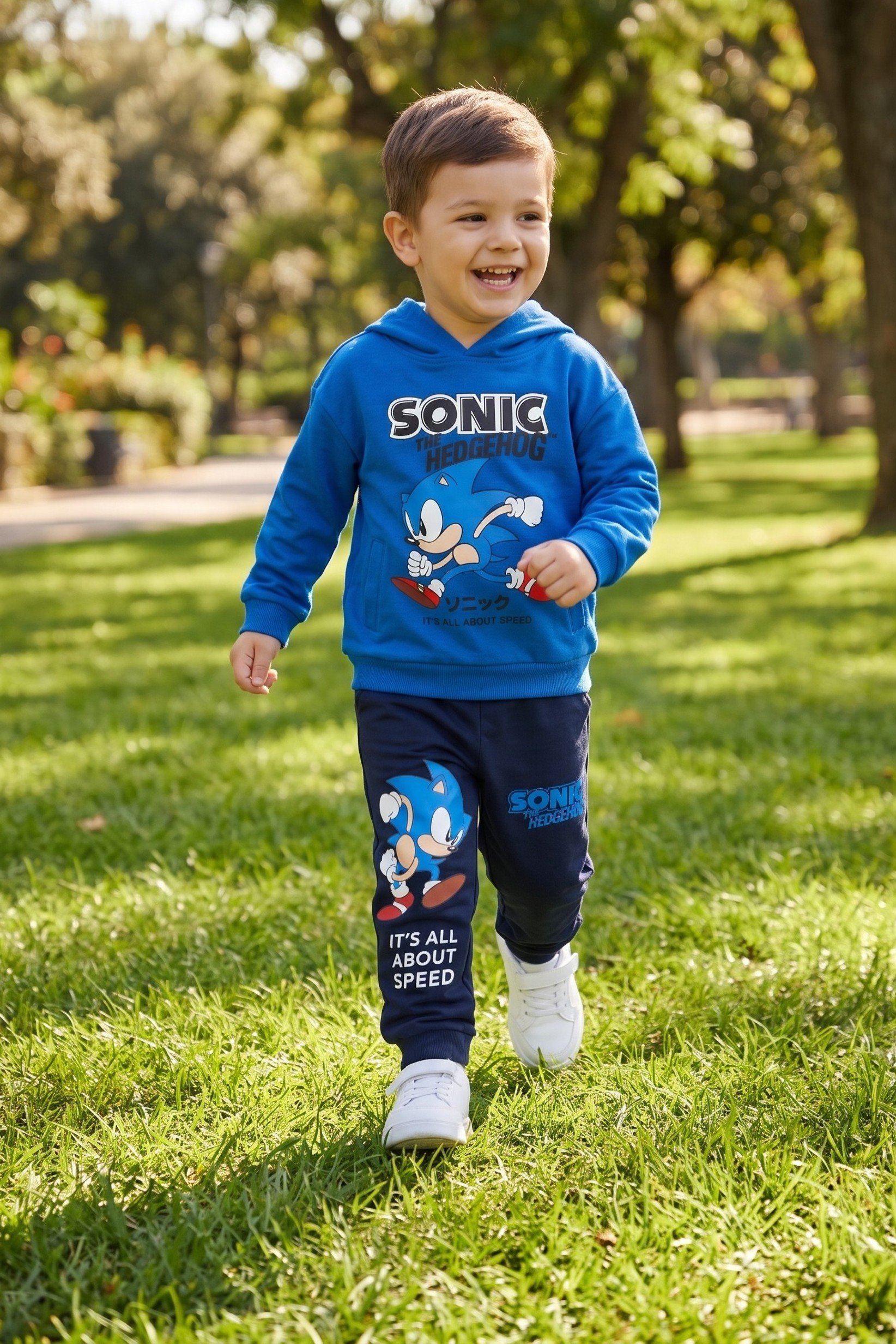 Toddlers Boy 2 Pieces Graphic Print Long Sleeve Hoodie And Jogger Set, Multicolor