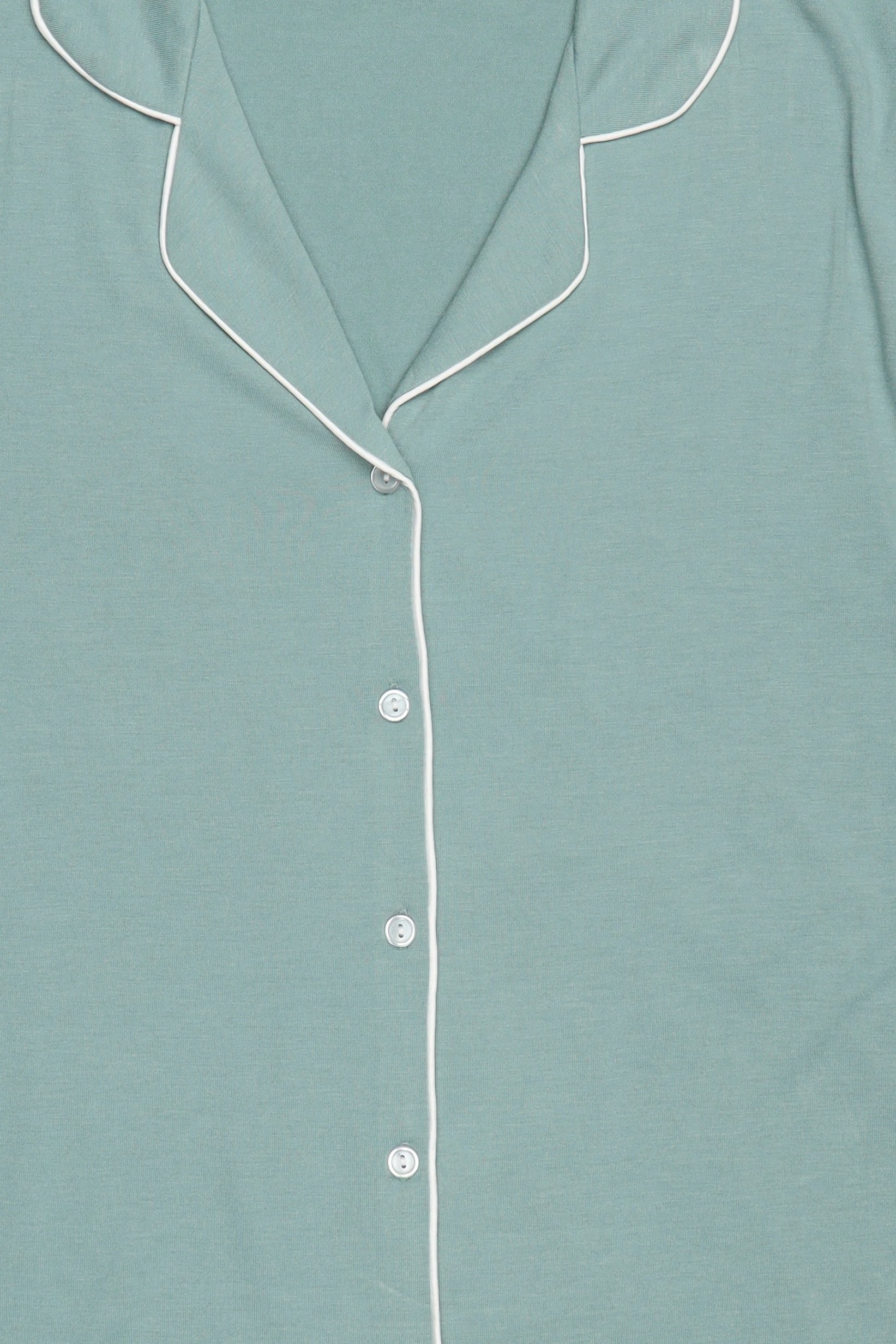 Women 2 Pcs Plain Long Sleeve Shirt And Pants Pyjama Set, Sage