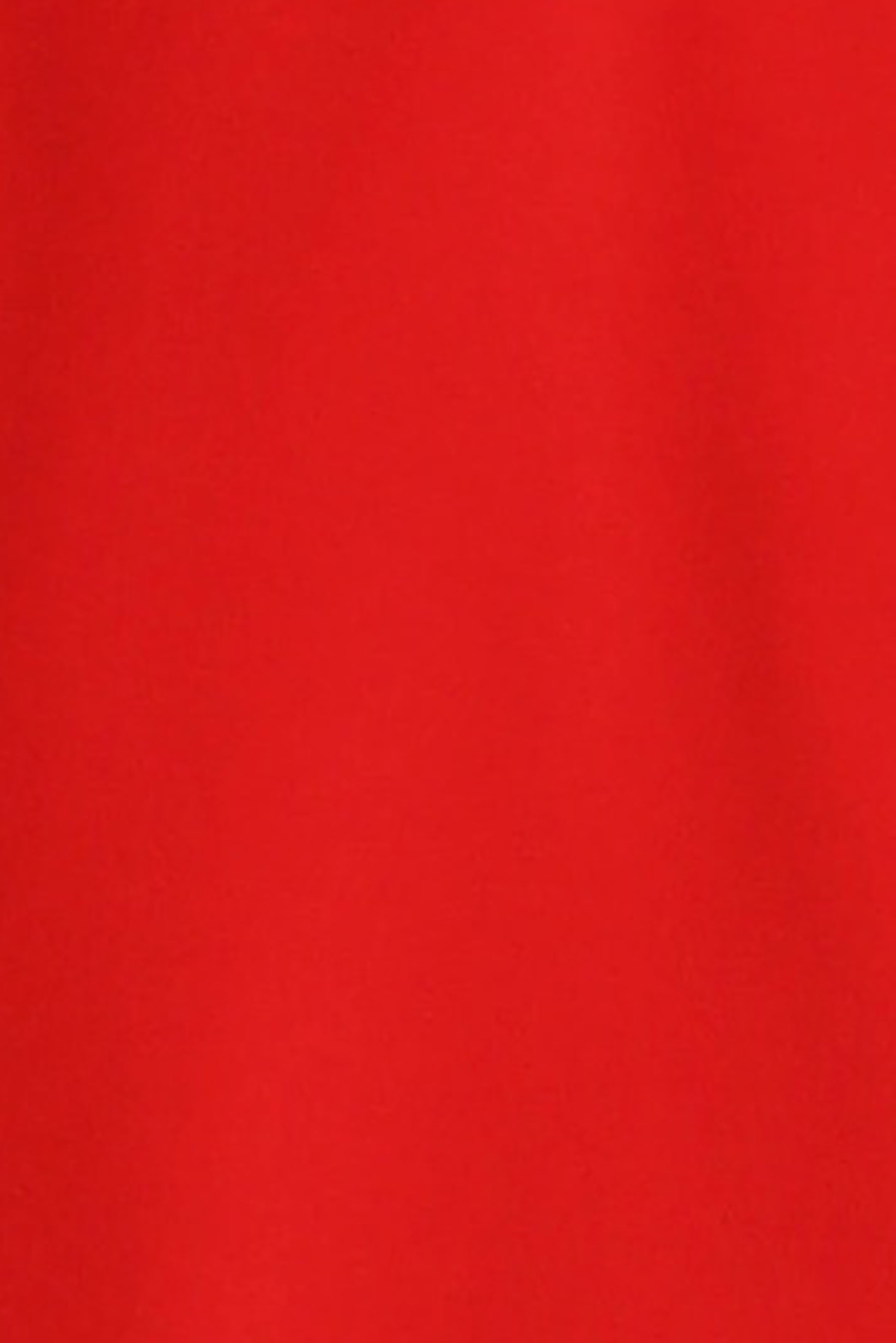 Men Regular Fit Training Short, Red