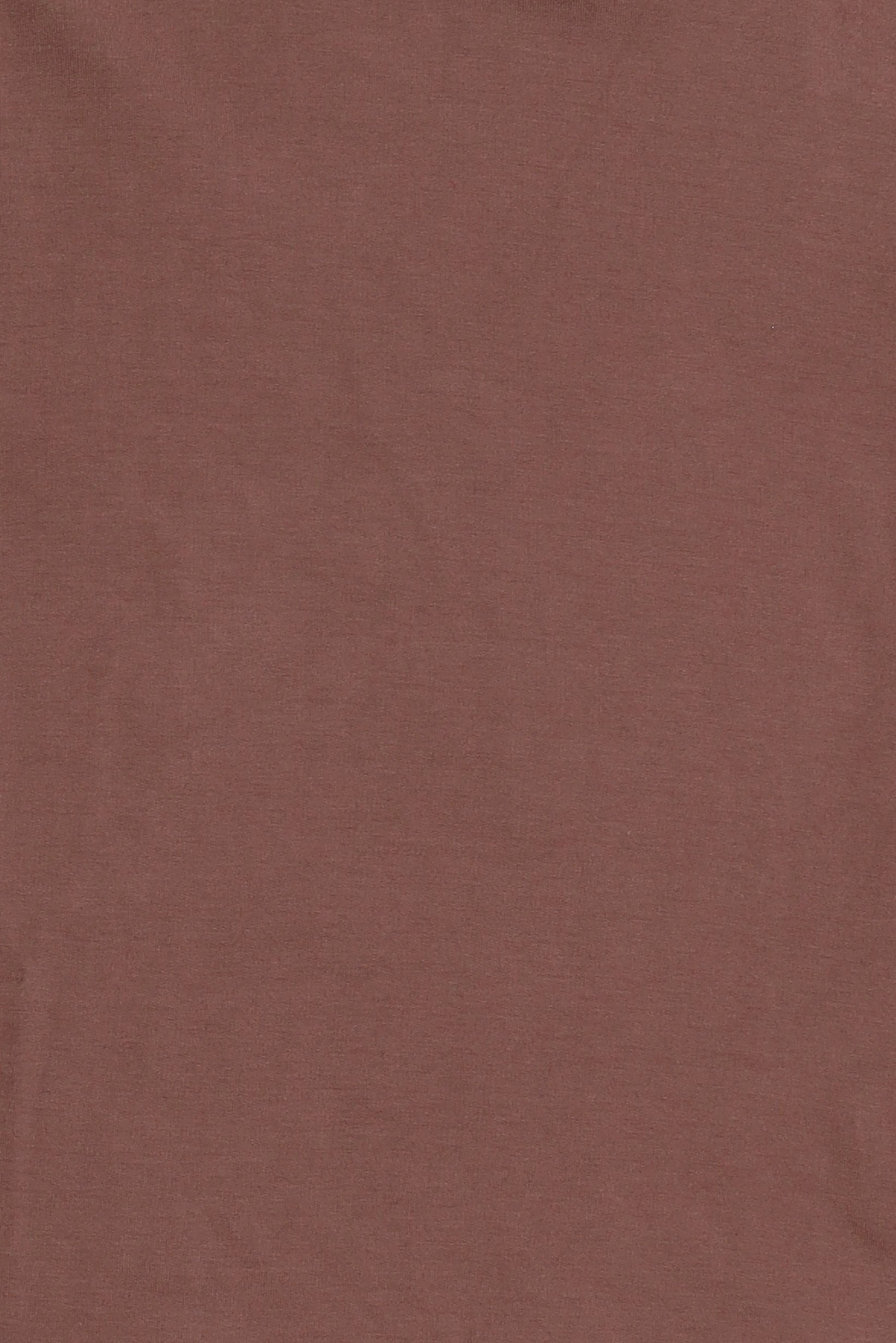 Women Mock Neck Long Sleeve Solid Top, Brown