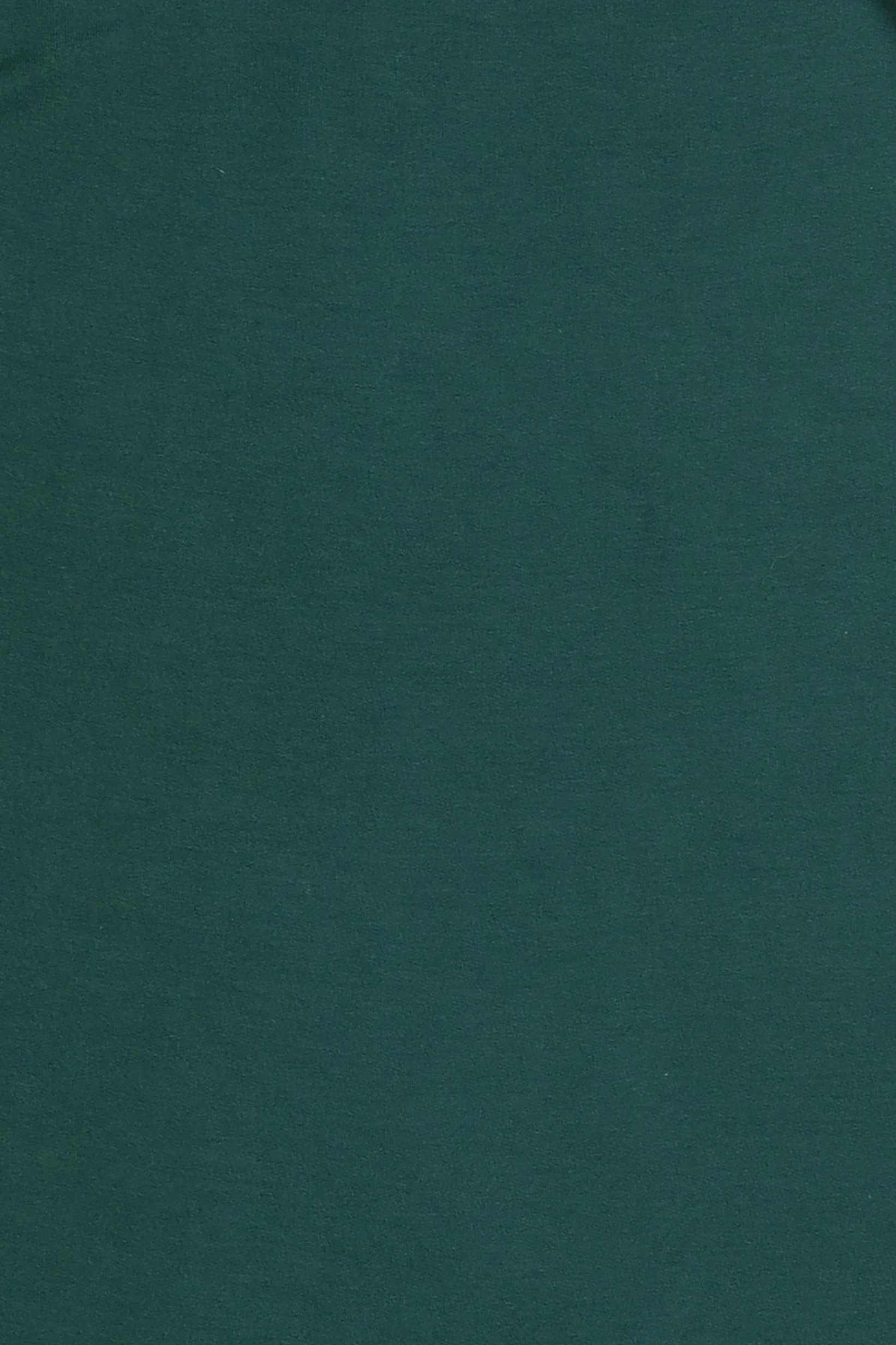 Women Mock Neck Long Sleeve Solid Top, Dark Green