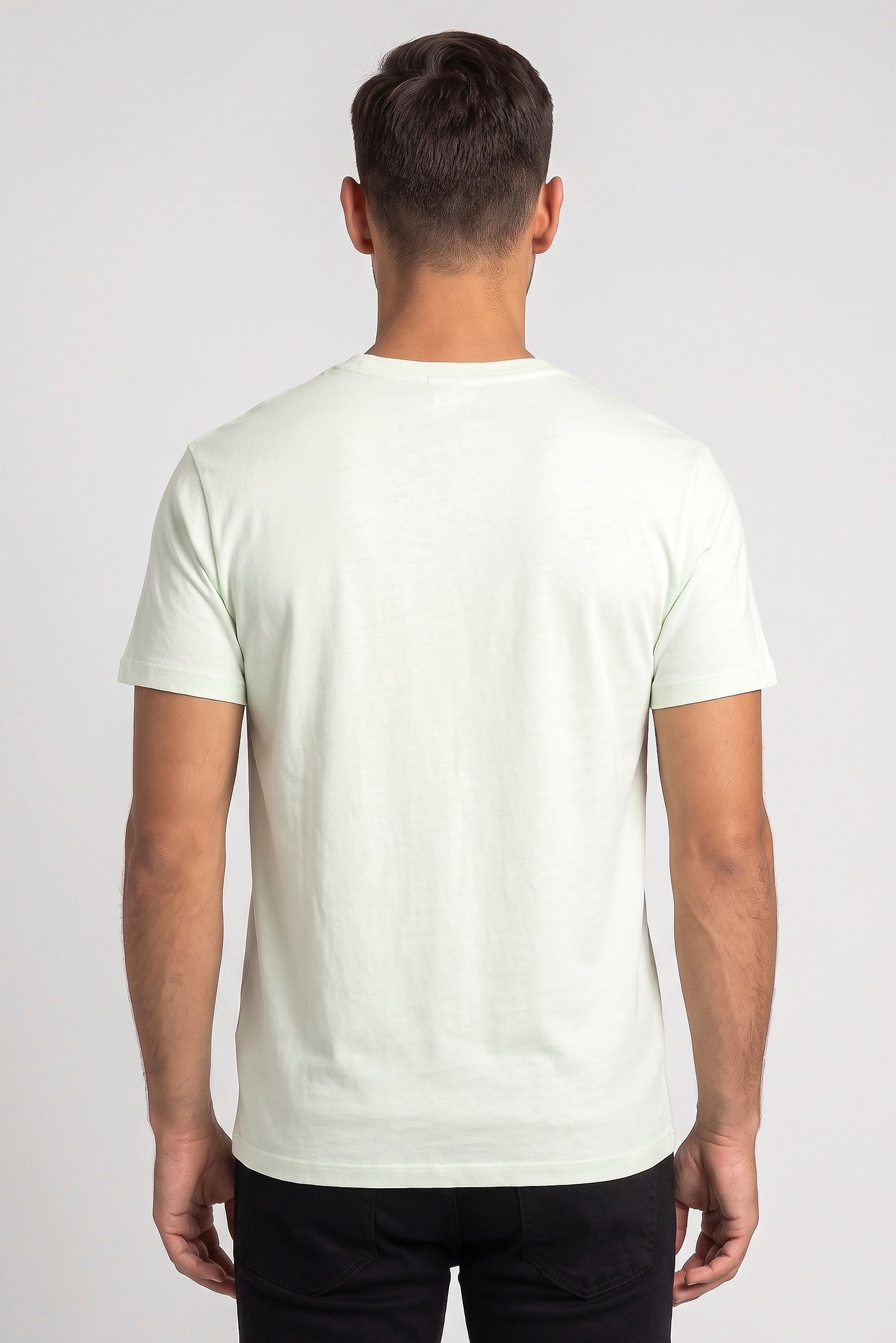 Polo Ralph Lauren Men Crew Neck Short Sleeve Embroidered Logo T-Shirt, Light Green