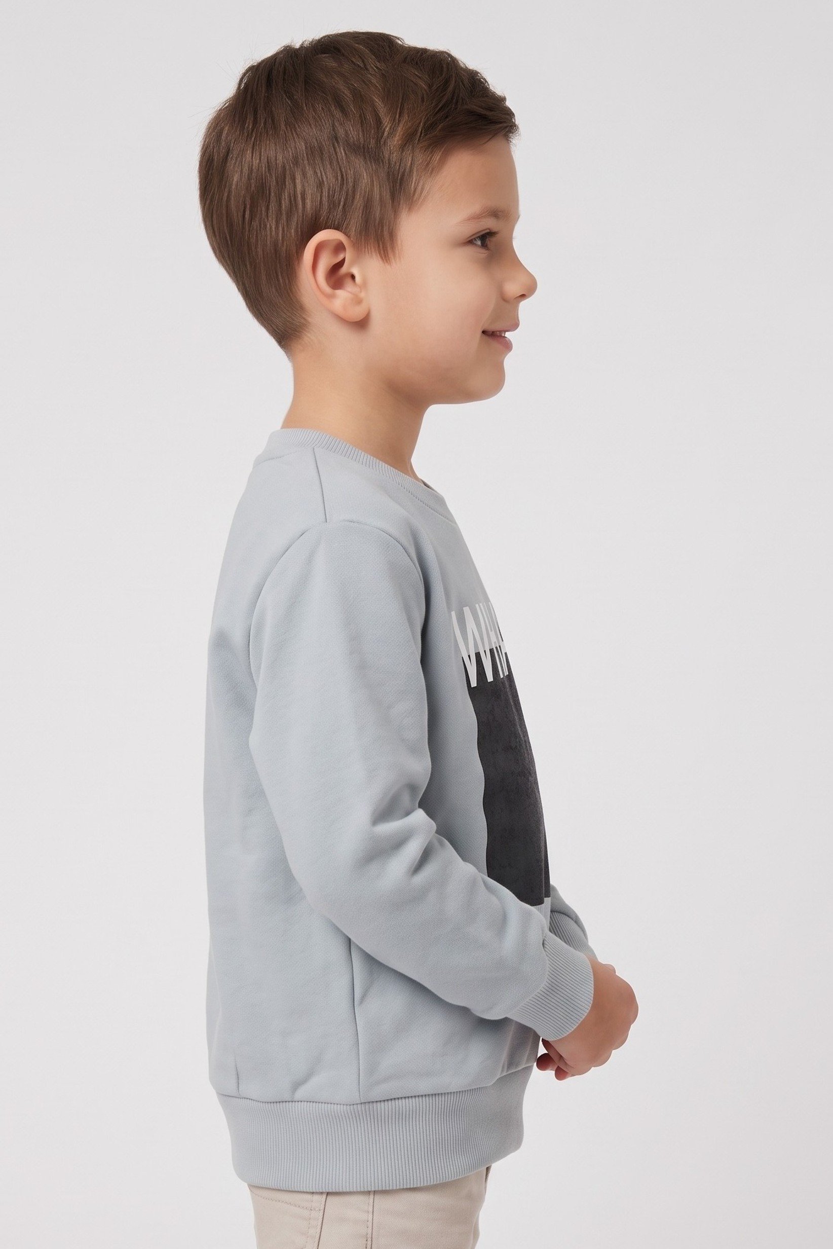 Kids Boy Crew Neck Long Sleeve Graphic Print Sweatshirt, Light Grey