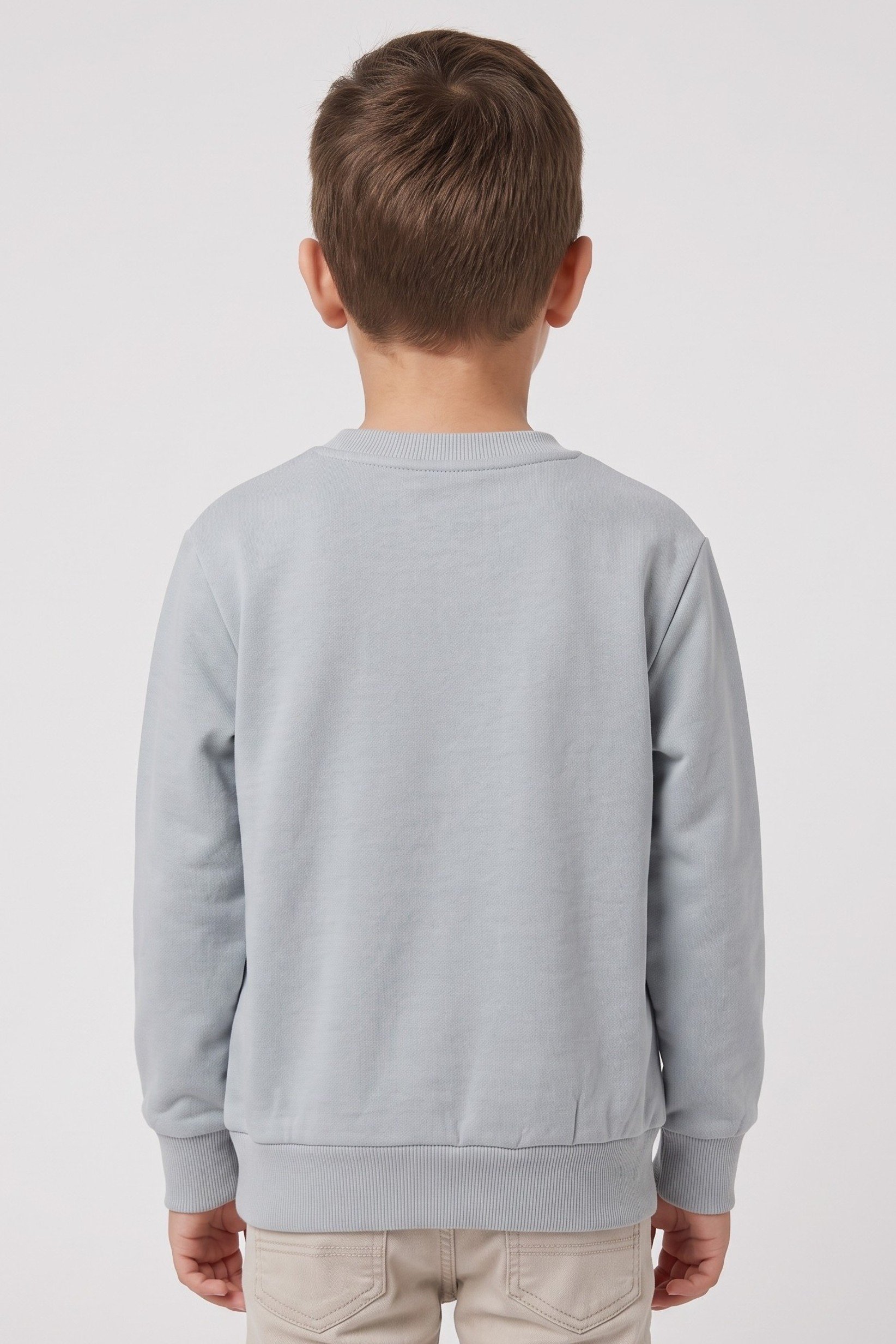 Kids Boy Crew Neck Long Sleeve Graphic Print Sweatshirt, Light Grey