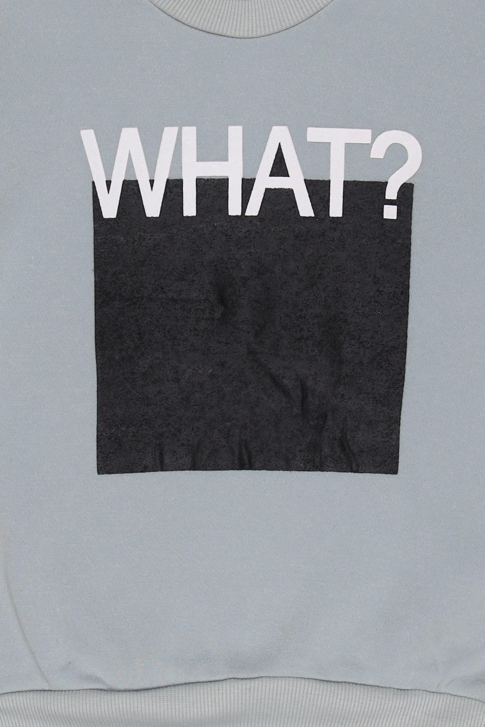 Kids Boy Crew Neck Long Sleeve Graphic Print Sweatshirt, Light Grey