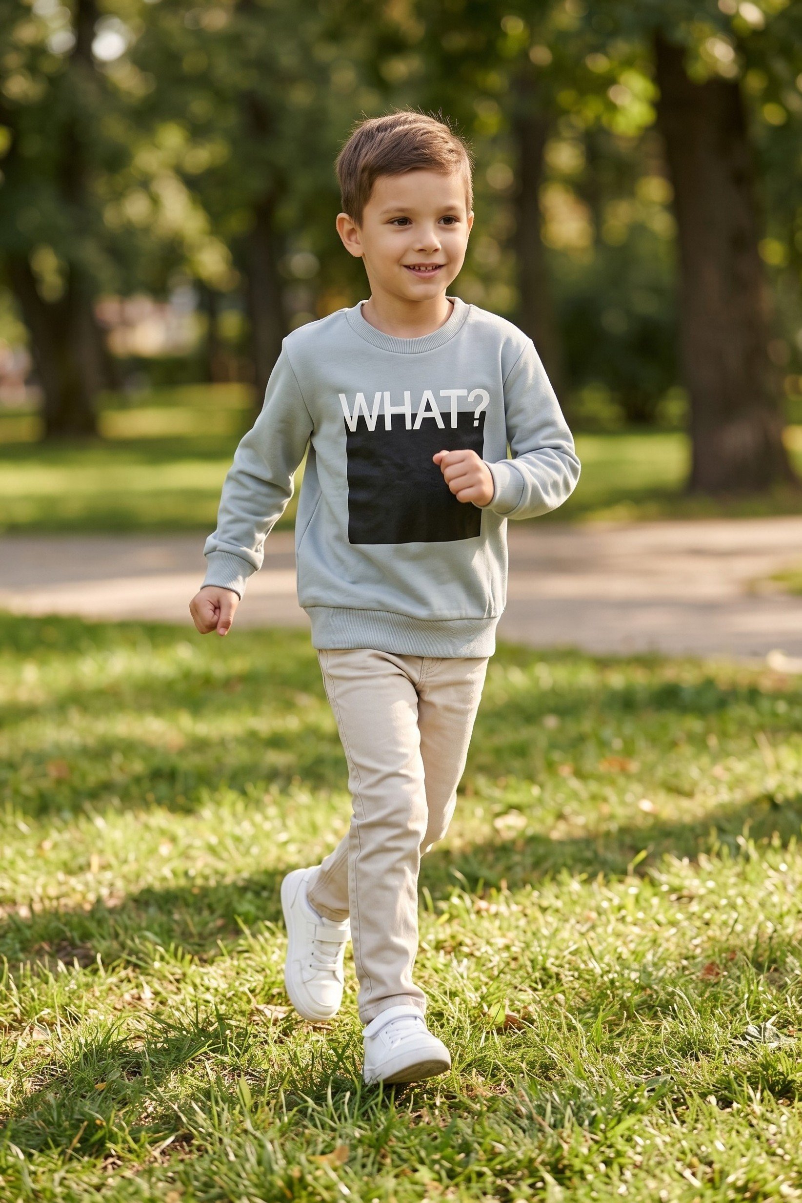 Kids Boy Crew Neck Long Sleeve Graphic Print Sweatshirt, Light Grey