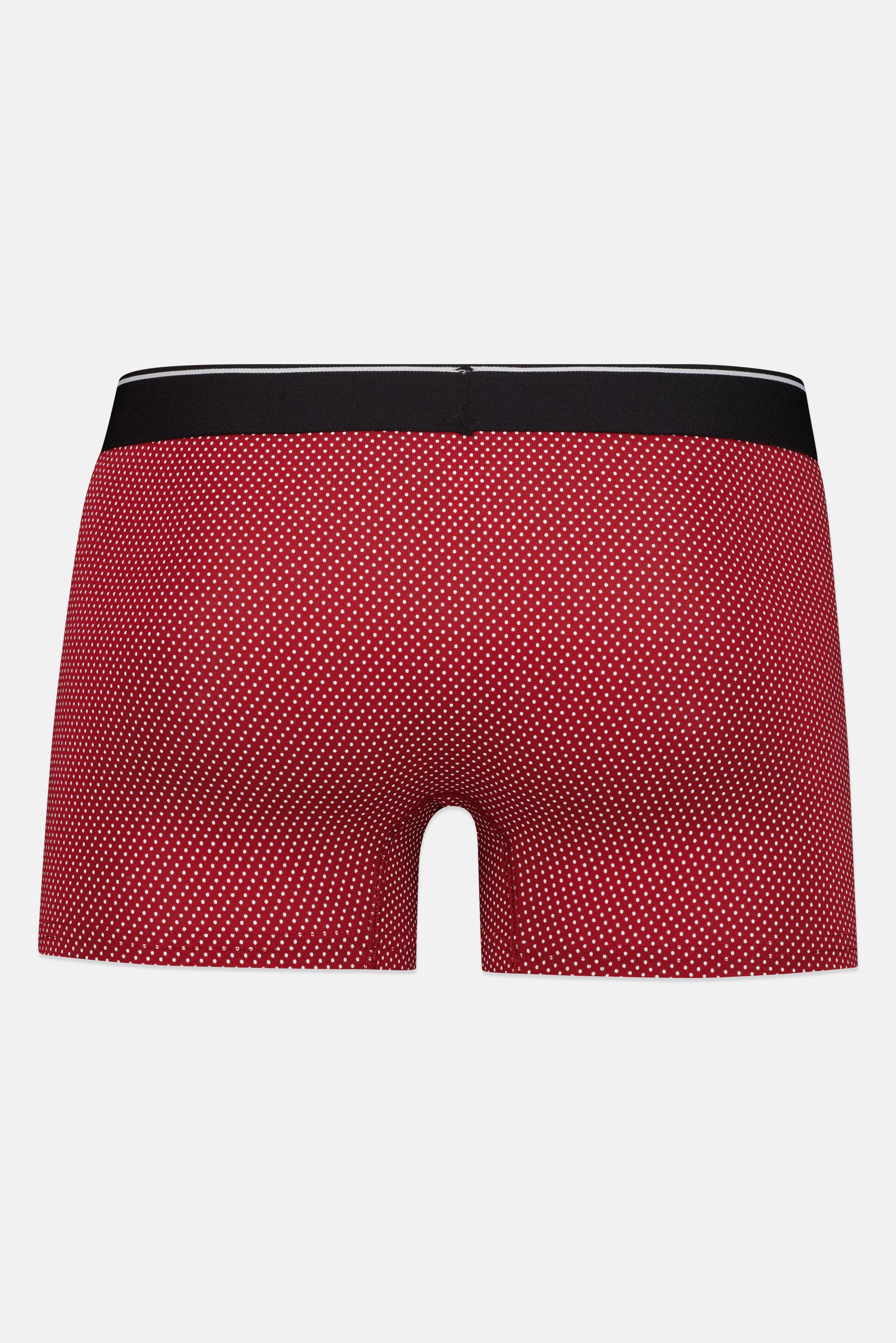 Men Polka Dot Boxer Brief, Multicolor