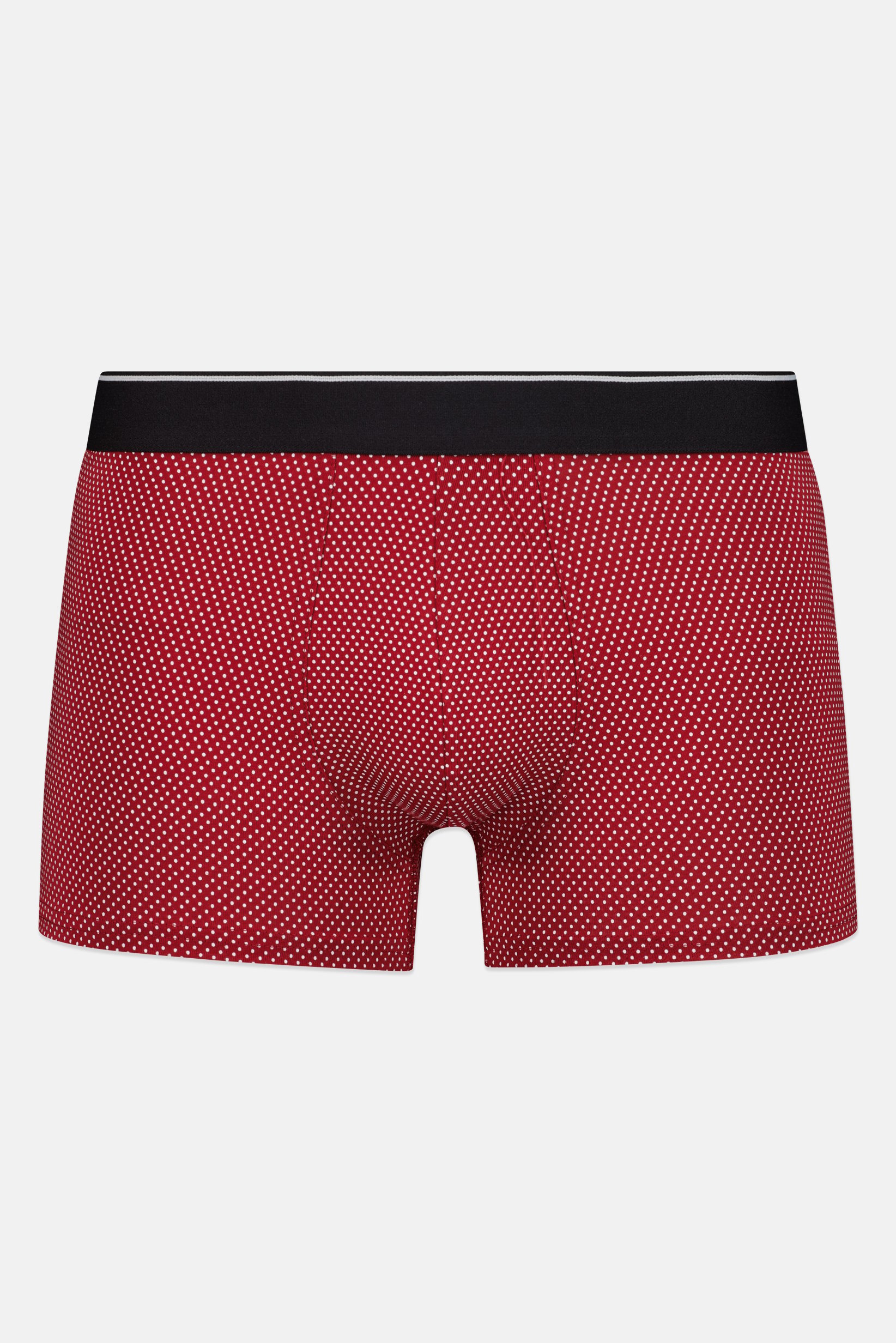 Men Polka Dot Boxer Brief, Multicolor