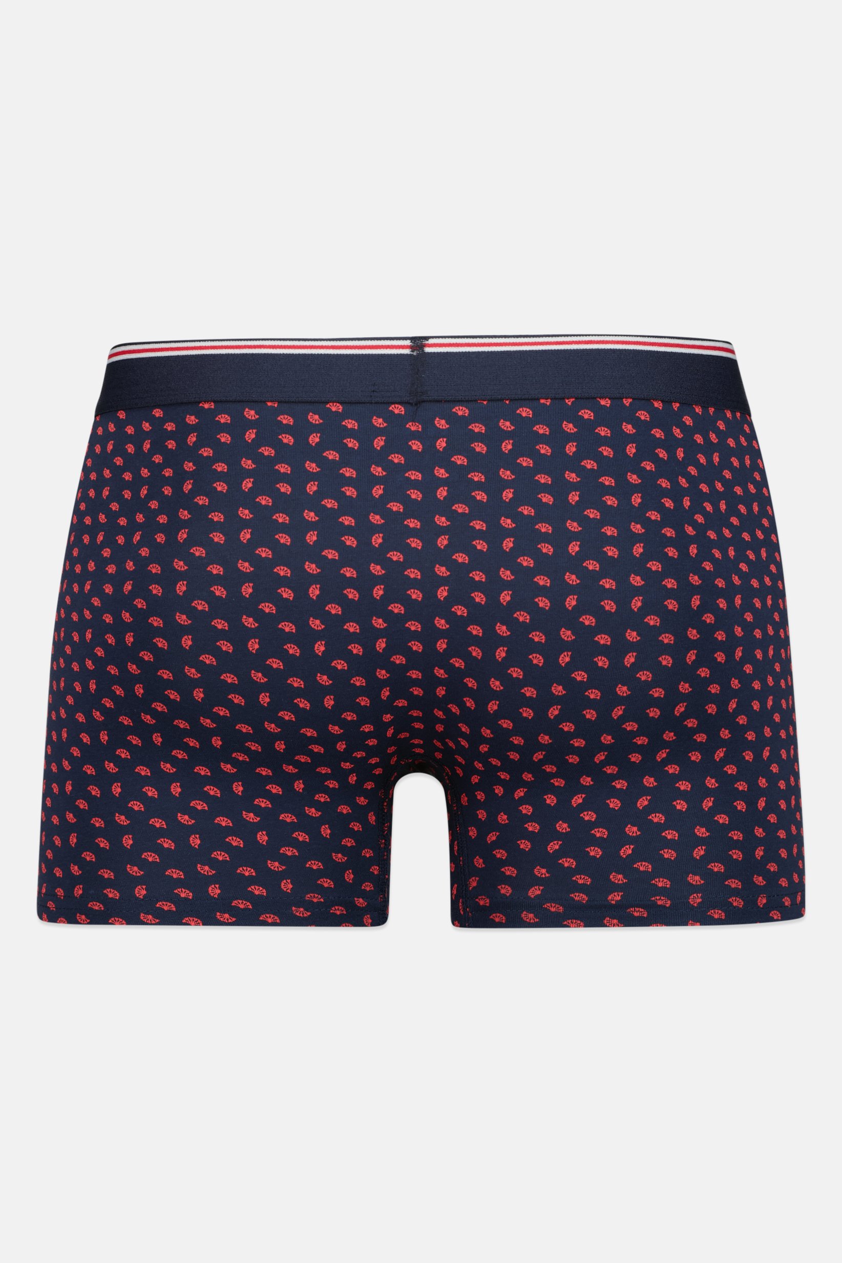 Men Allover Print Boxer Brief, Multicolor