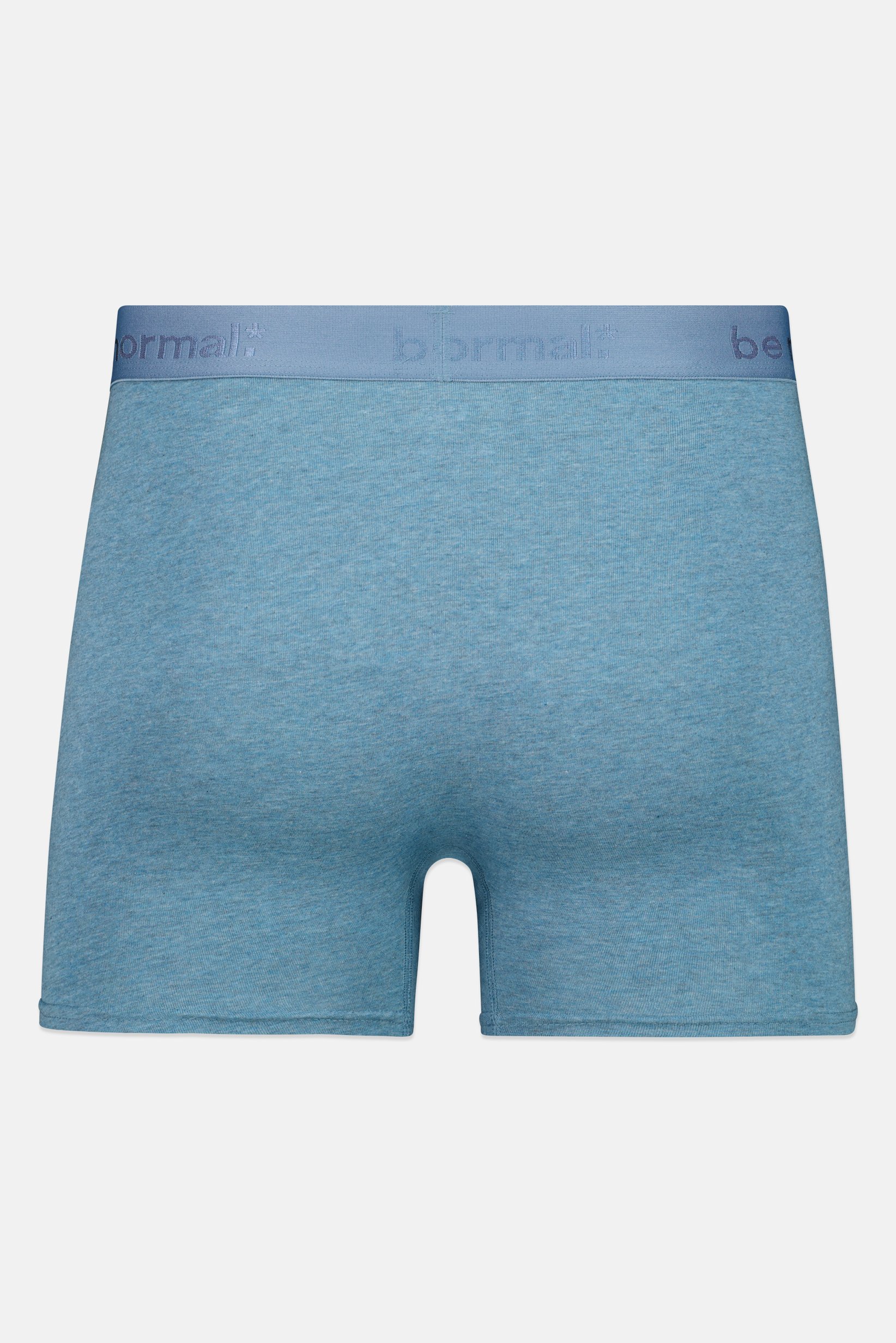 Men 1 Piece Brand Logo Boxer, Heather Blue
