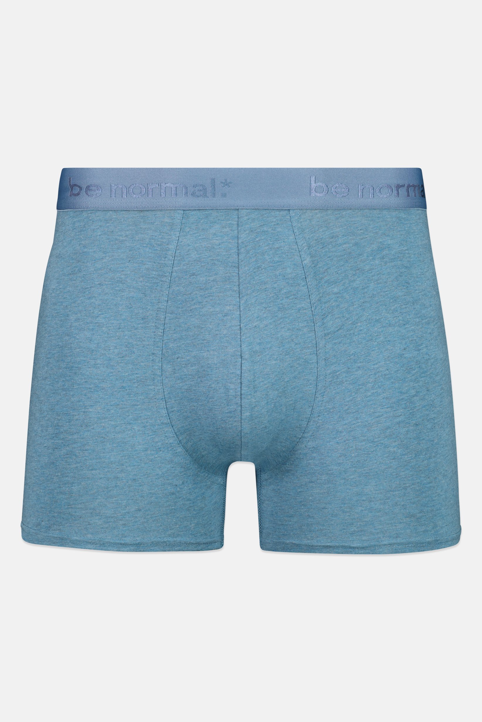 Men 1 Piece Brand Logo Boxer, Heather Blue
