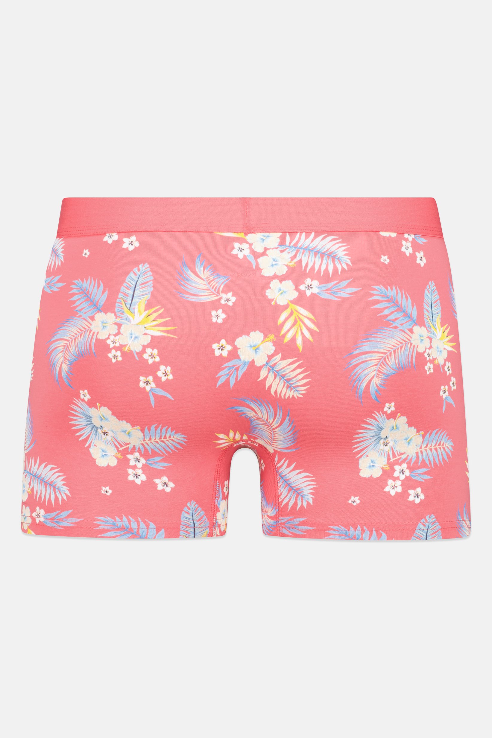 Men Allover Print Pull On Boxer, Multicolor