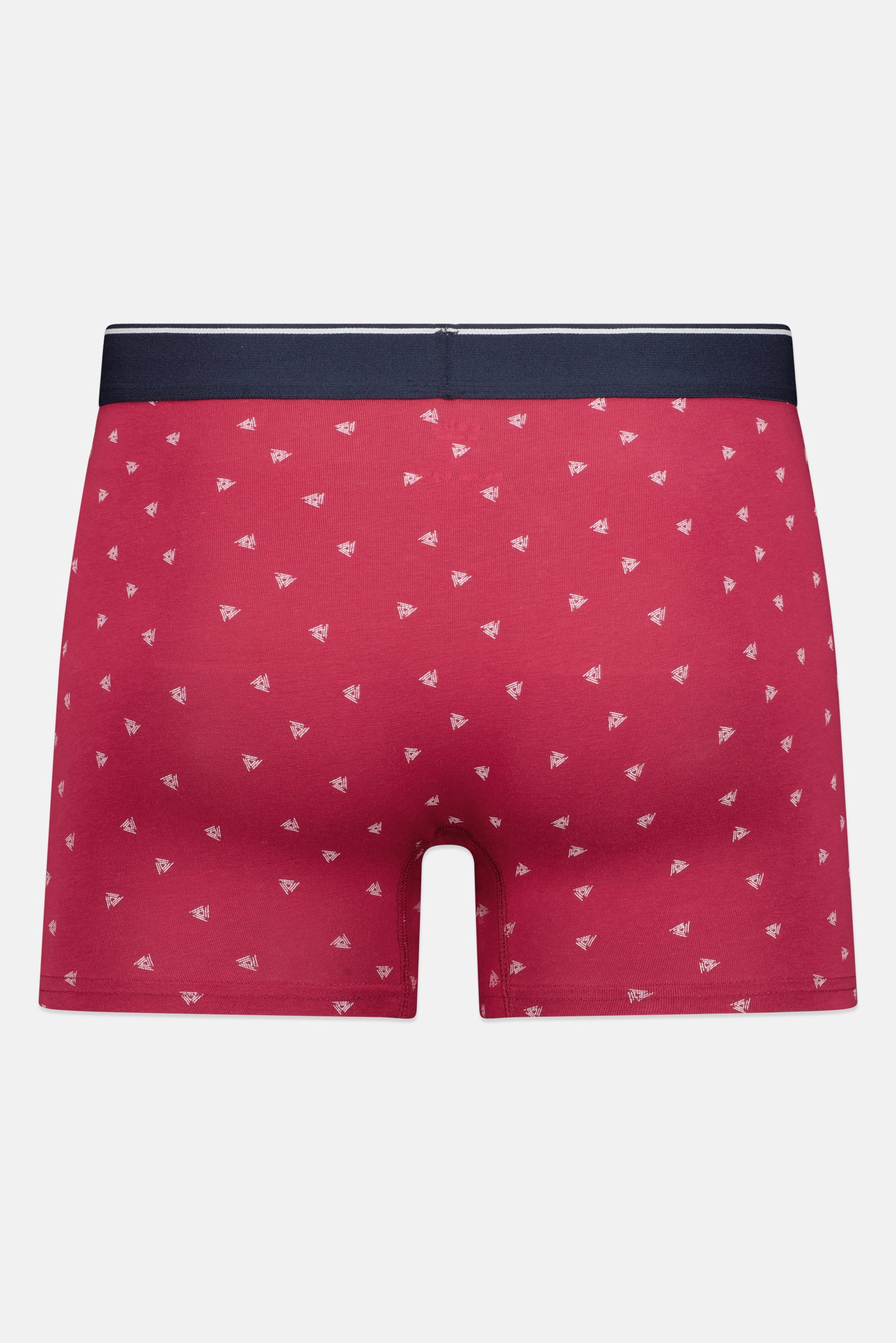 Men 1 Piece Allover Print Boxer, Multicolor