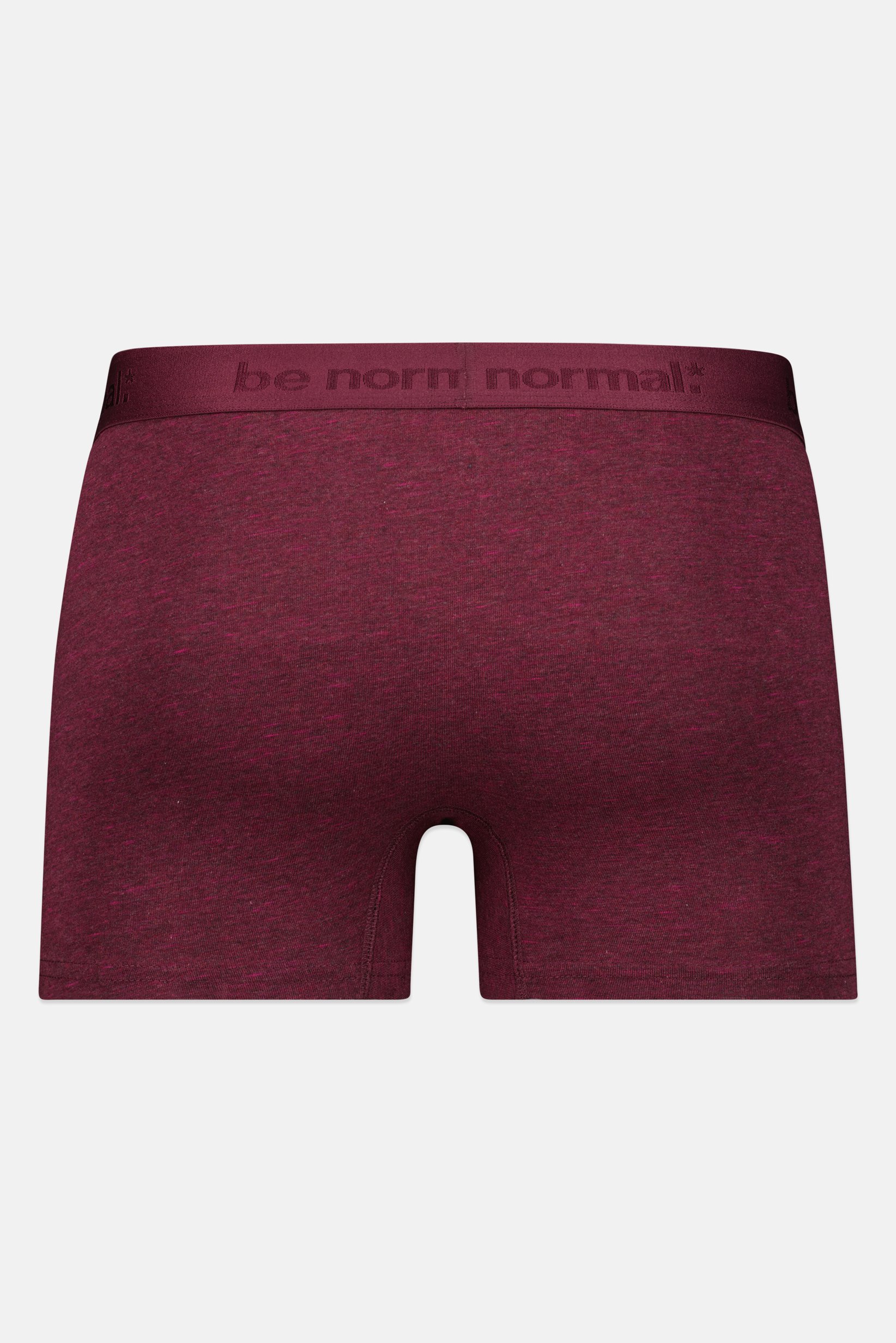 Men Brand Logo Boxer Brief, Burgundy