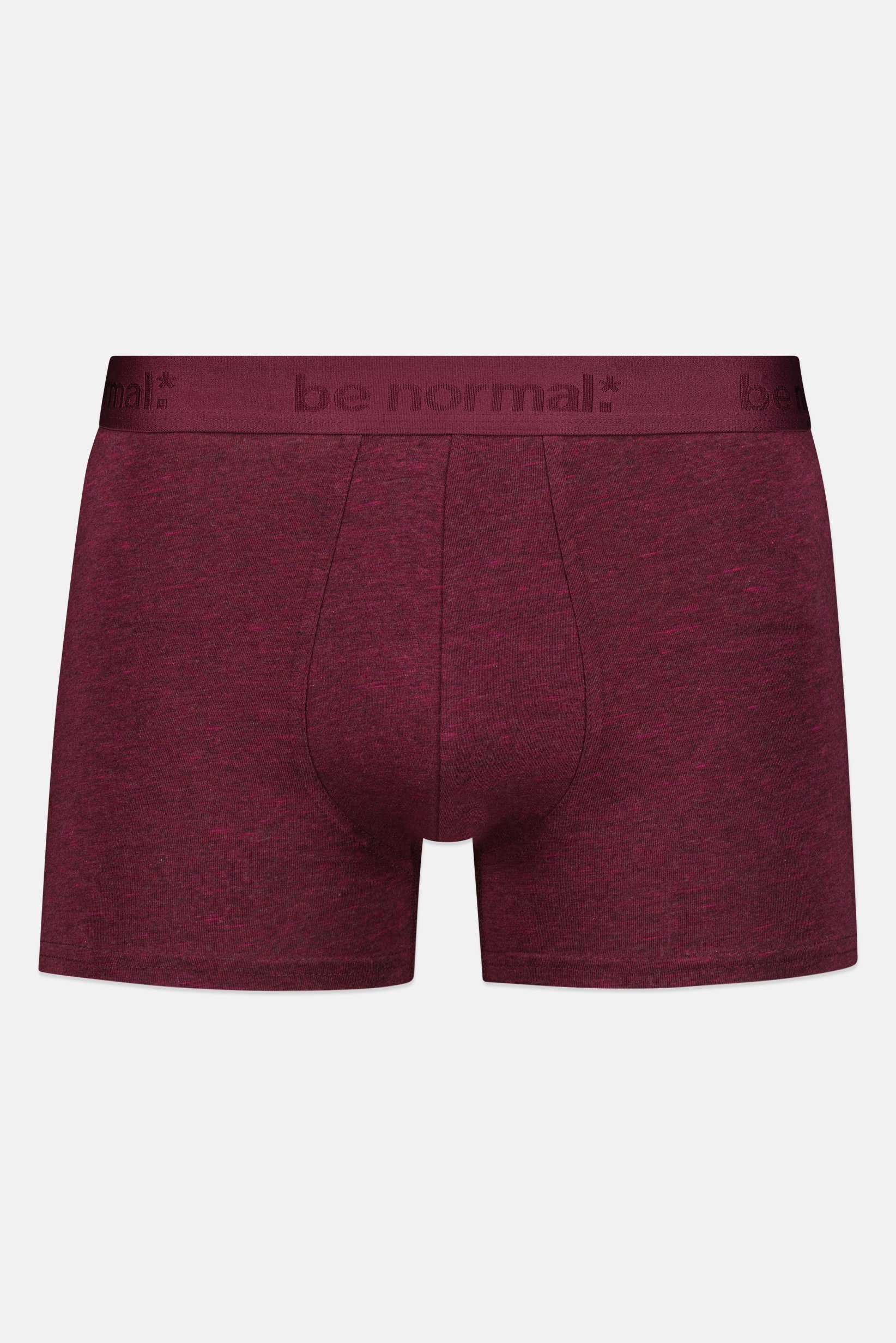 Men Brand Logo Boxer Brief, Burgundy