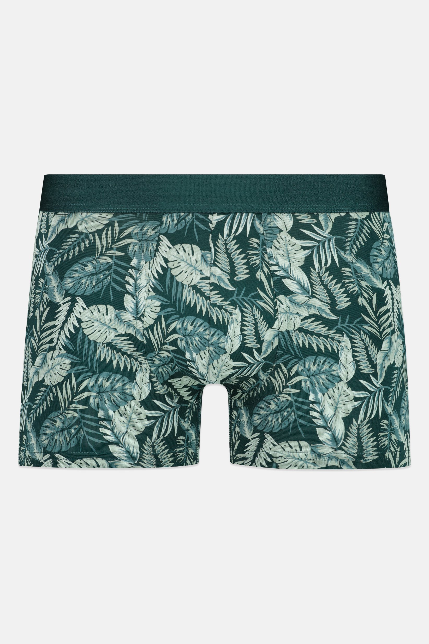 Men Allover Print Boxer, Multicolor