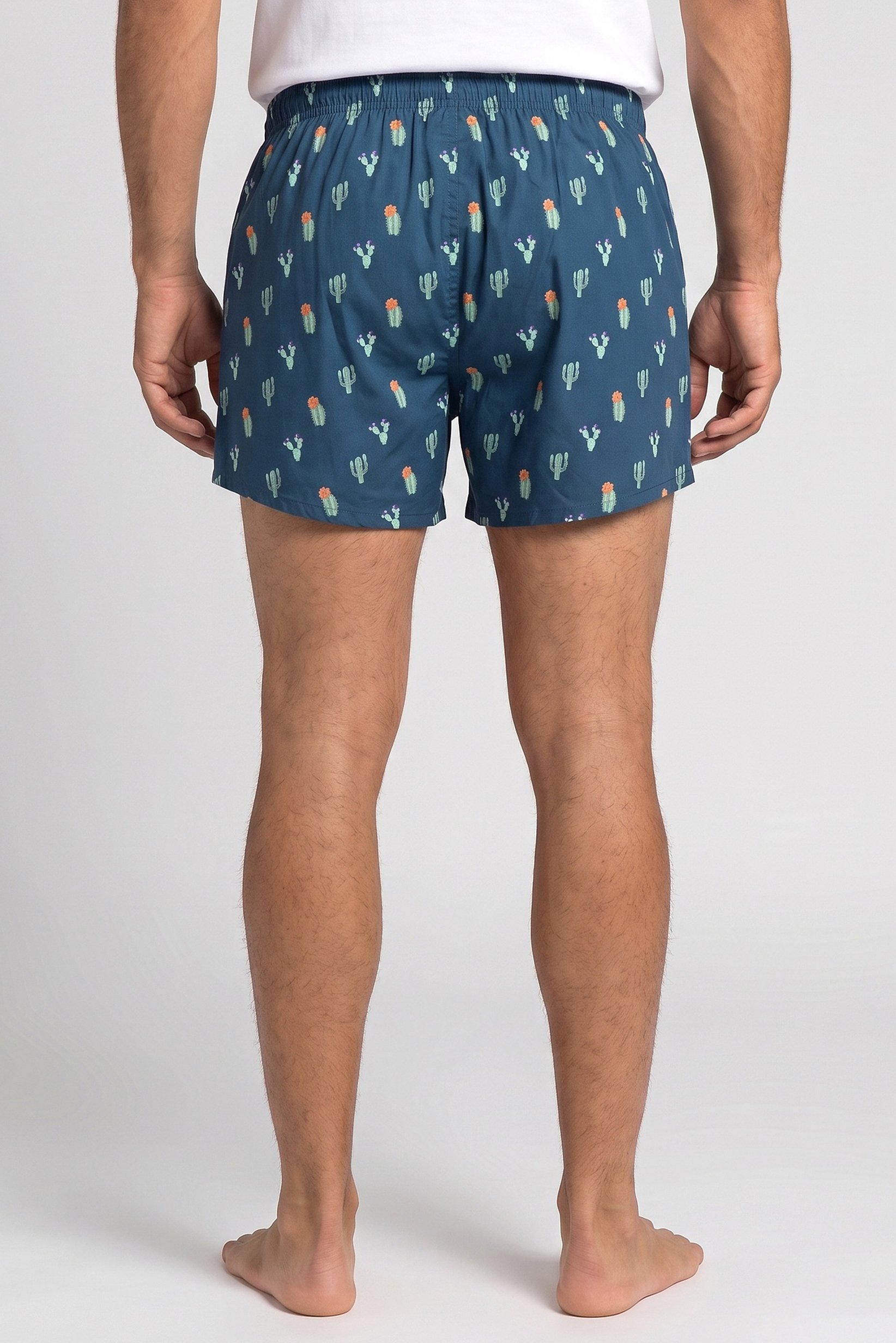 Men Graphic Print Boxer Shorts, Multicolor