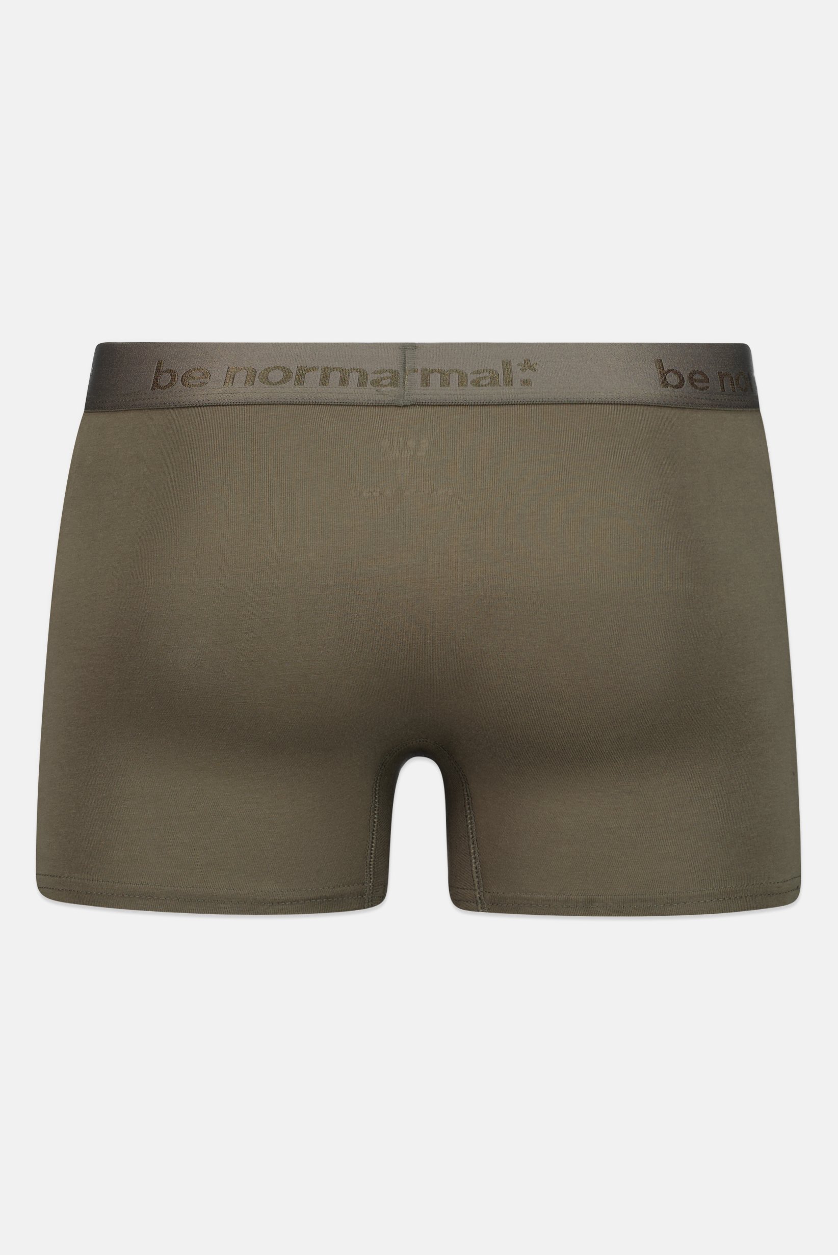 Men Solid Boxer Brief, Green
