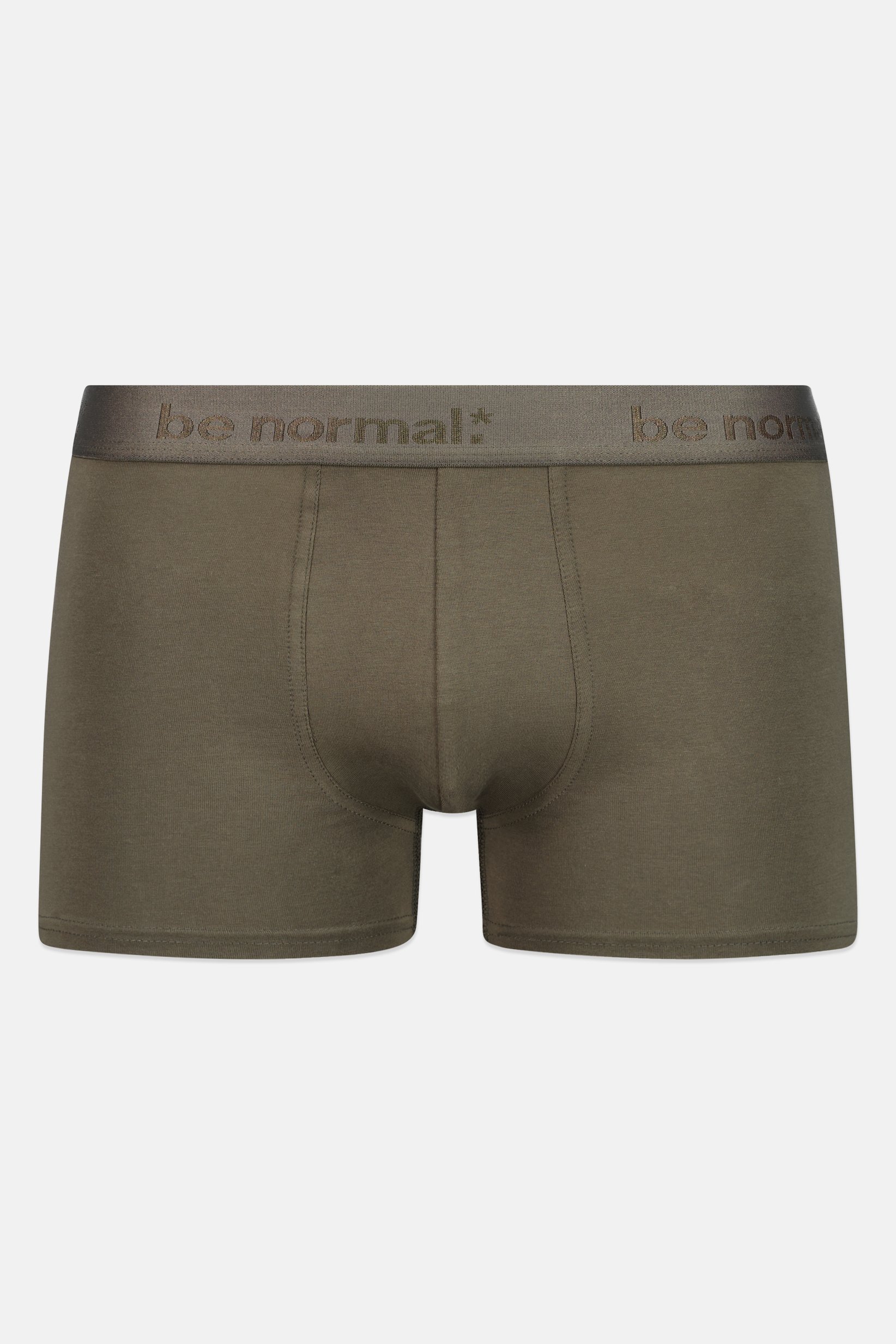 Men Solid Boxer Brief, Green