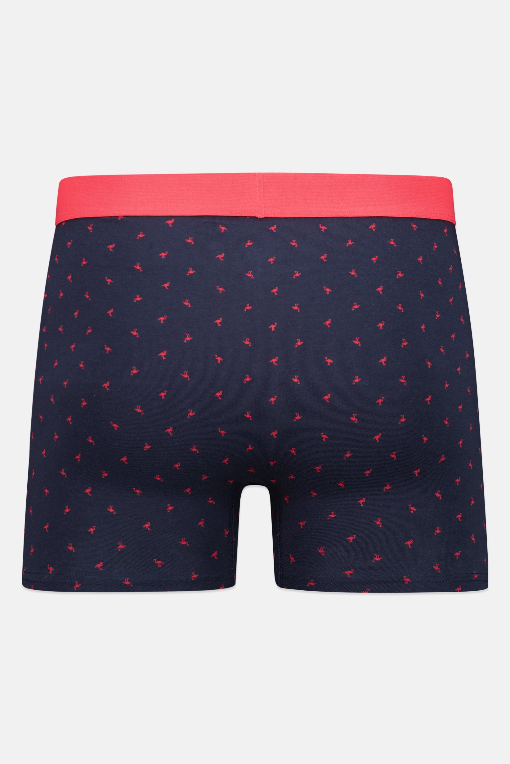 Men Allover Print Pull On Boxer, Multicolor