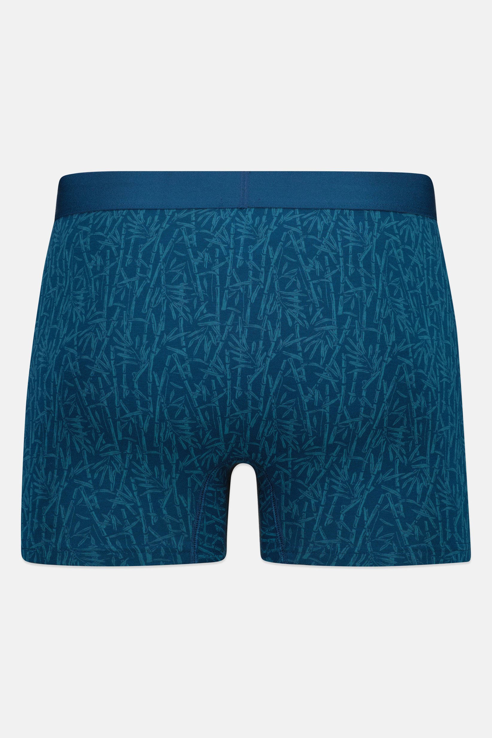 Men Allover Print Boxer, Multicolor
