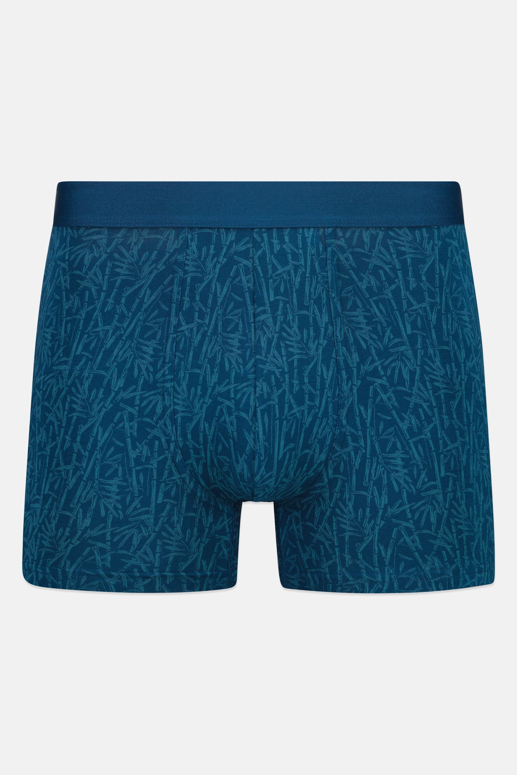 Men Allover Print Boxer, Multicolor