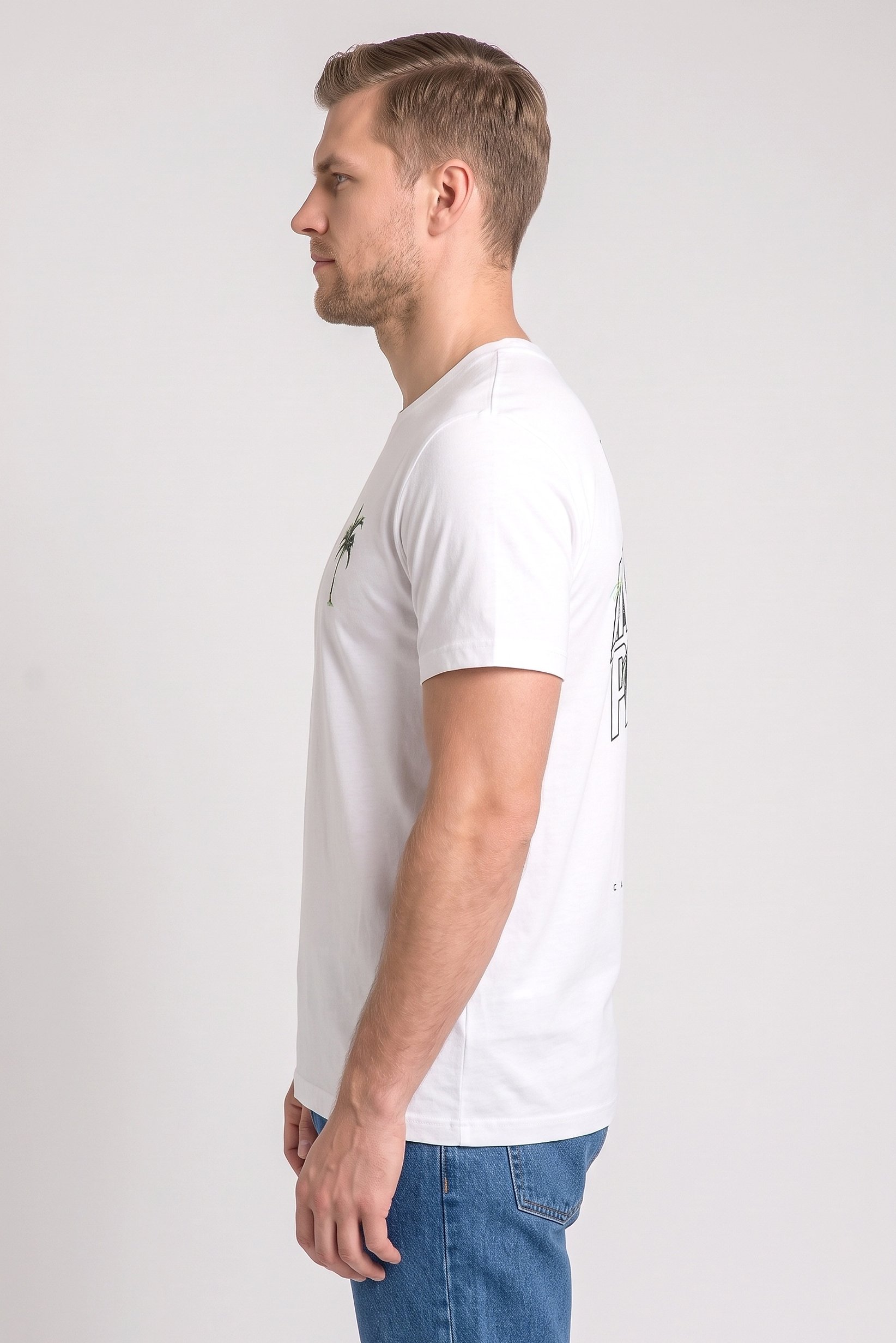 Men Crew Neck Short Sleeve Graphic Print T-Shirt, White