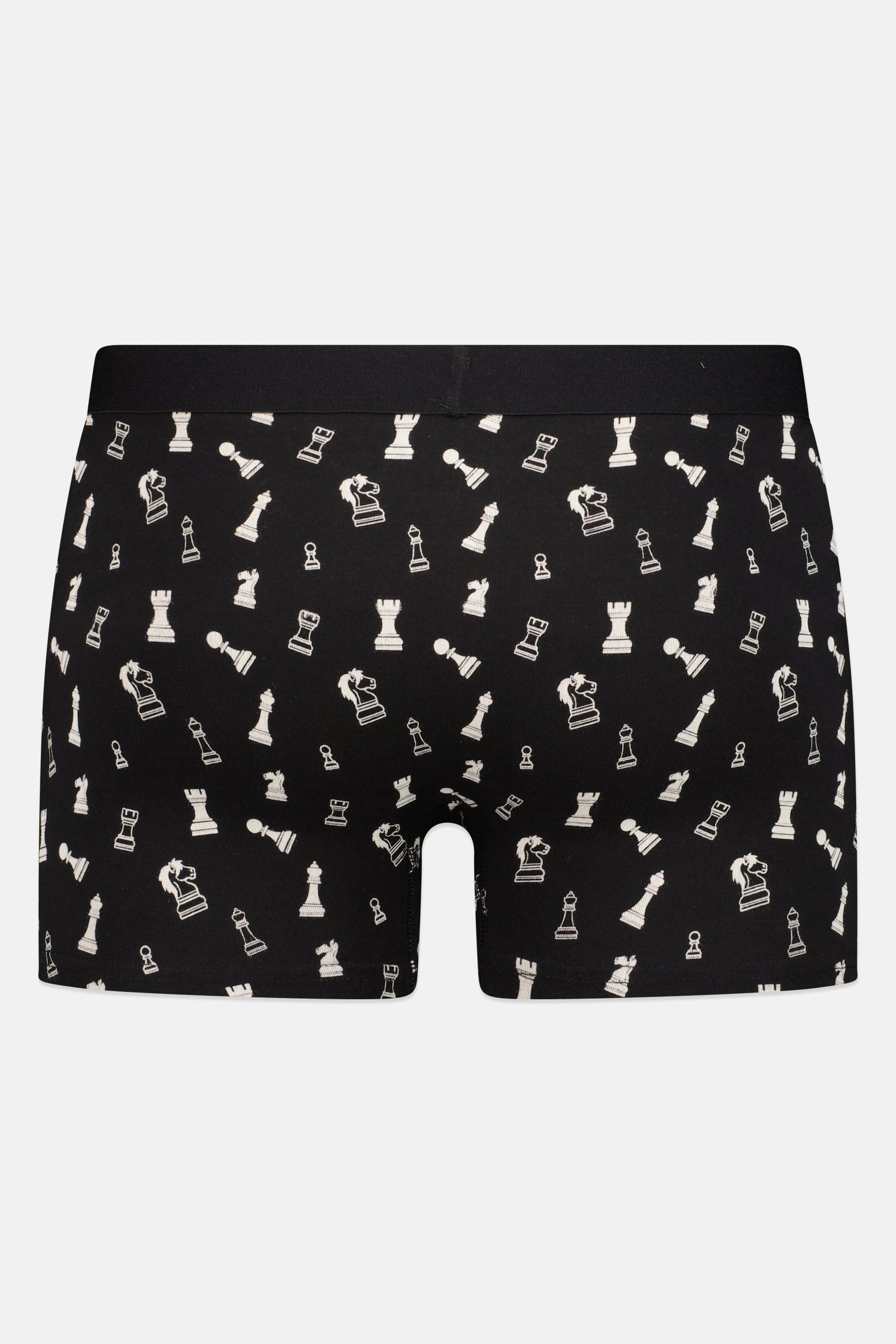 Men 1 Piece Graphic Print Boxer Brief, Multicolor
