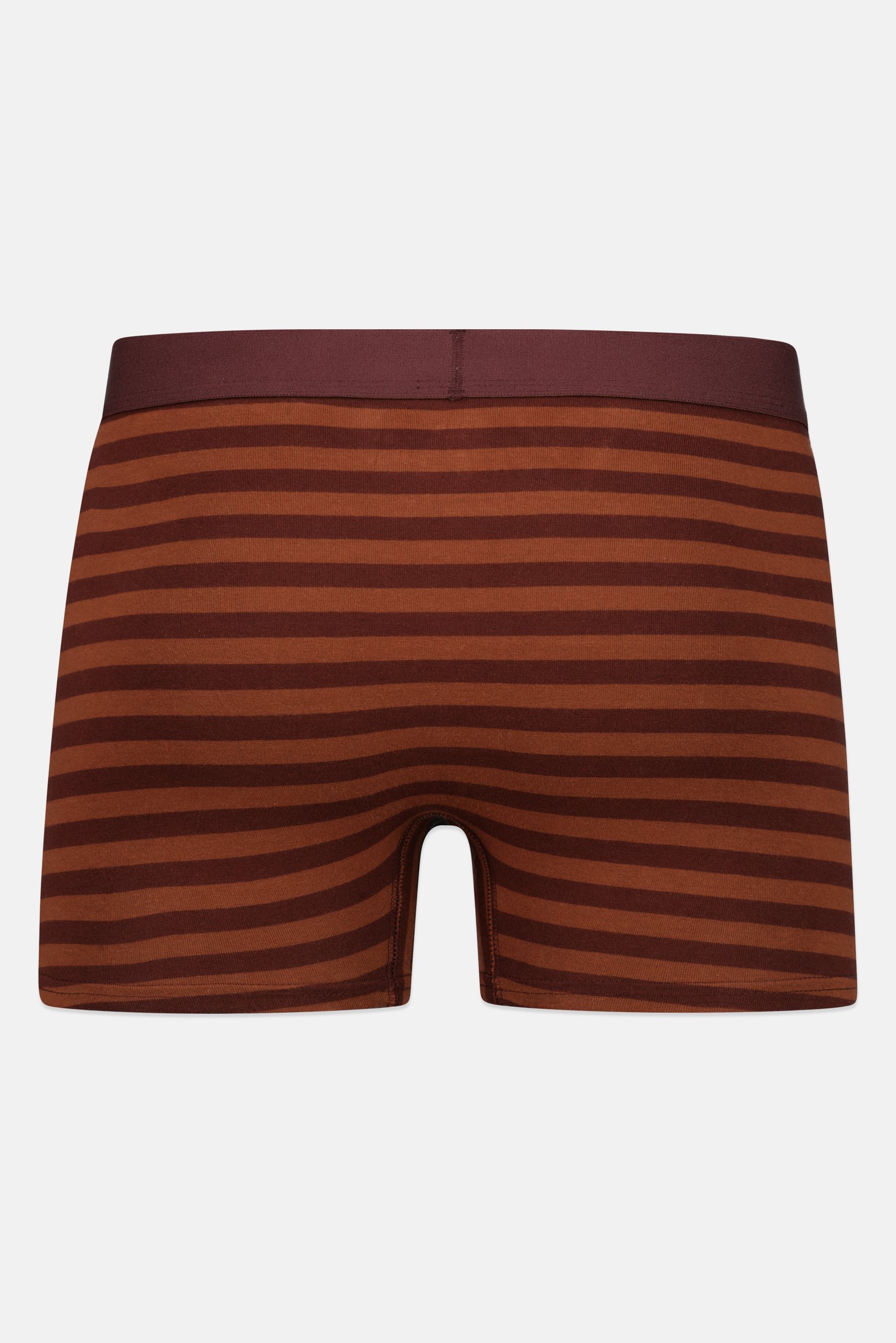 Men 1 Piece Stripe Boxer, Brown