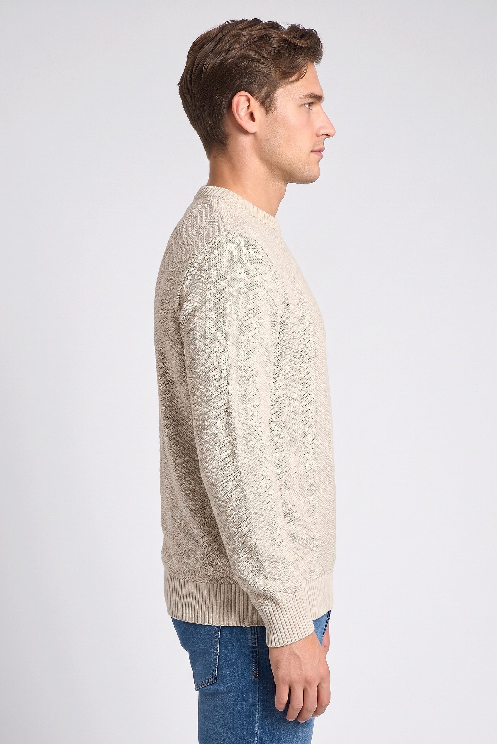 Men Crew Neck Knitted Sweater, Beige