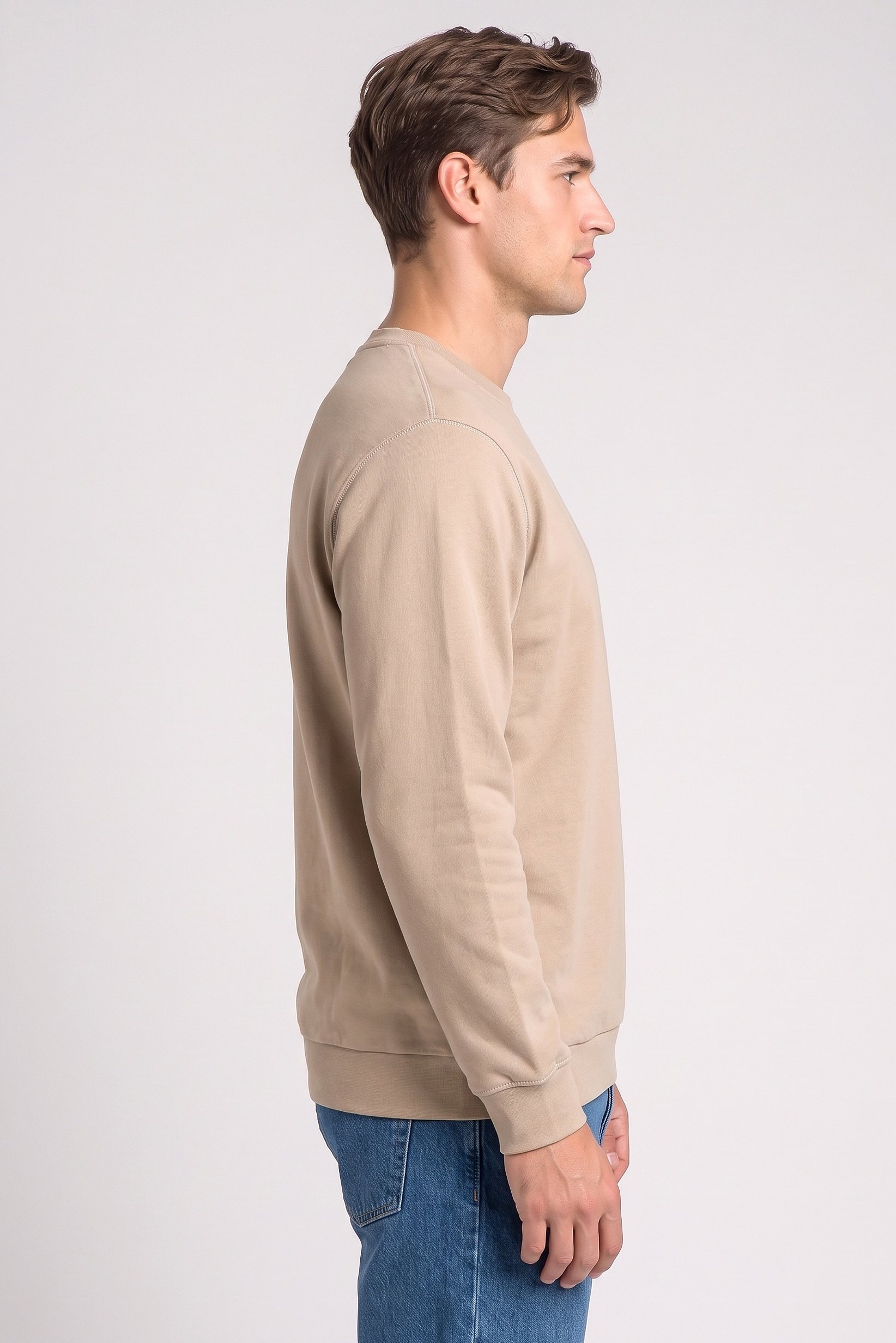 Men Crew Neck Long Sleeve Solid Sweatshirt, Beige