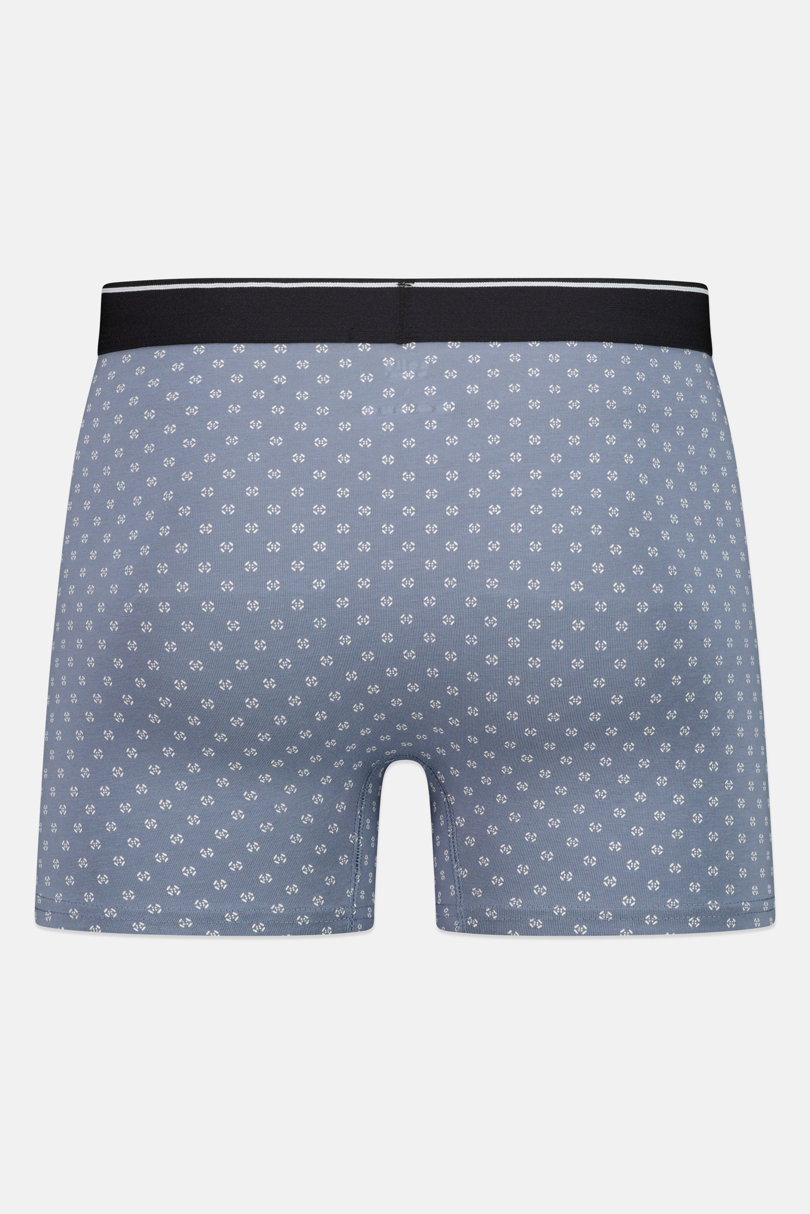 Men Allover Print Boxer Brief, Multicolor