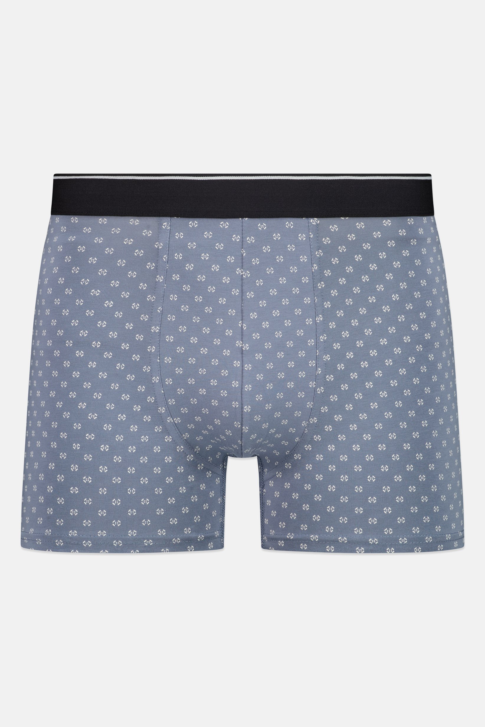 Men Allover Print Boxer Brief, Multicolor