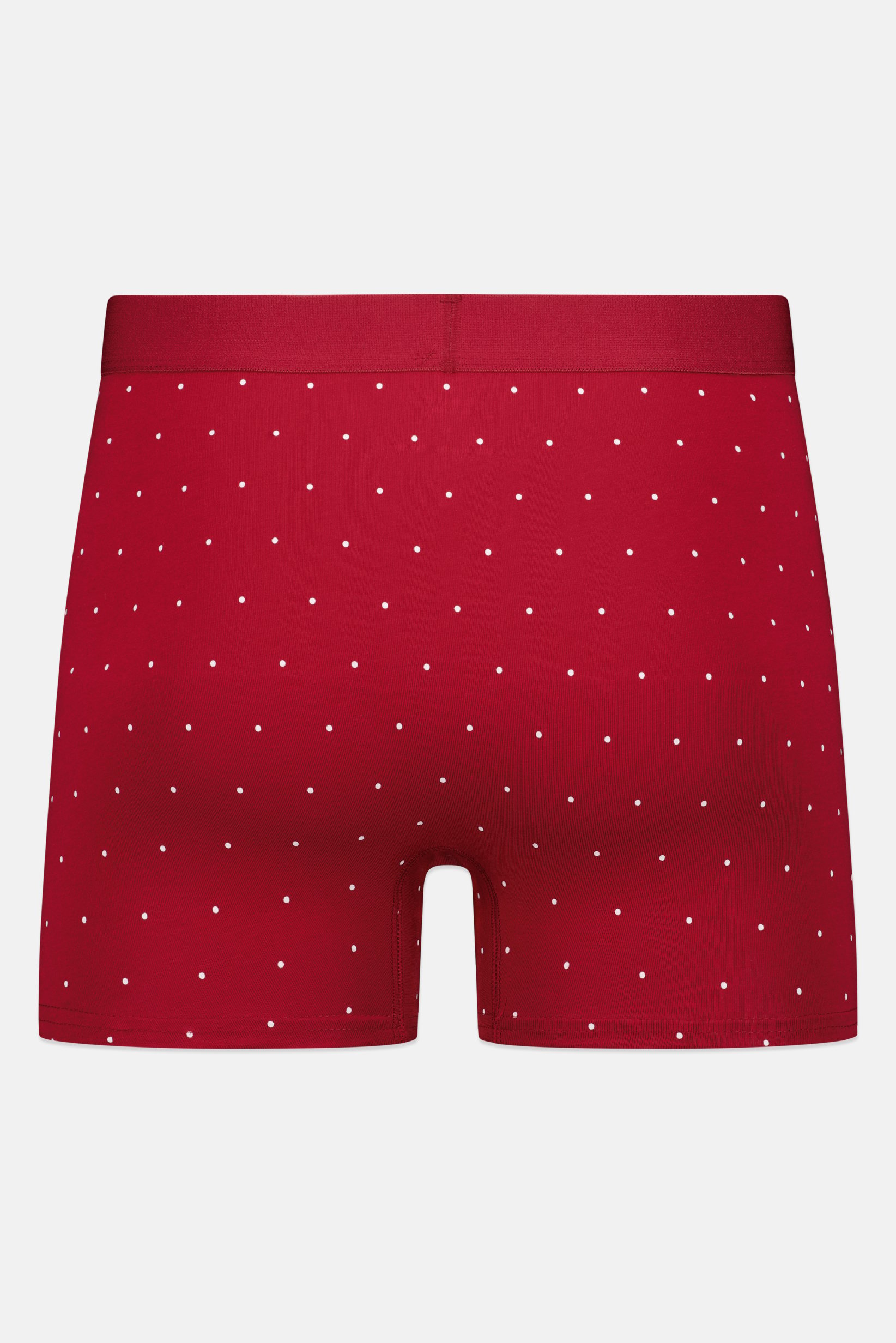 Men Polka Dot Pull On Boxer, Multicolor