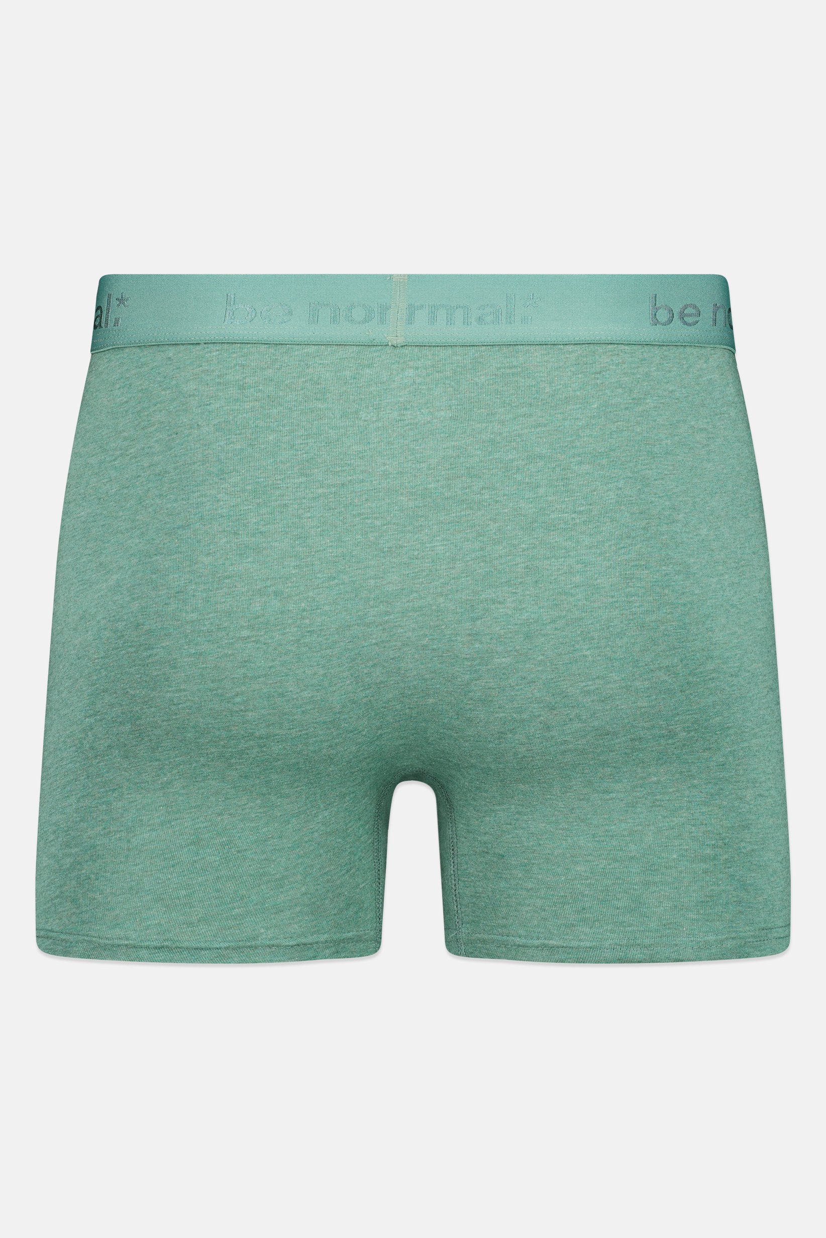 Men Embroidered Pull On Boxer, Heather Green