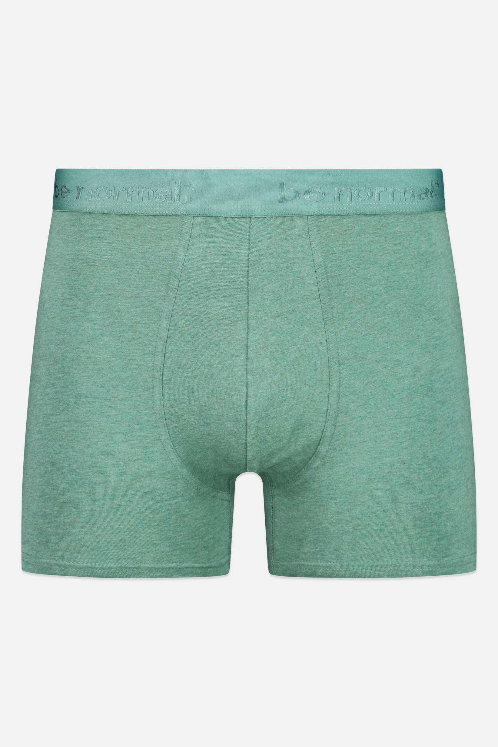 Men Embroidered Pull On Boxer, Heather Green